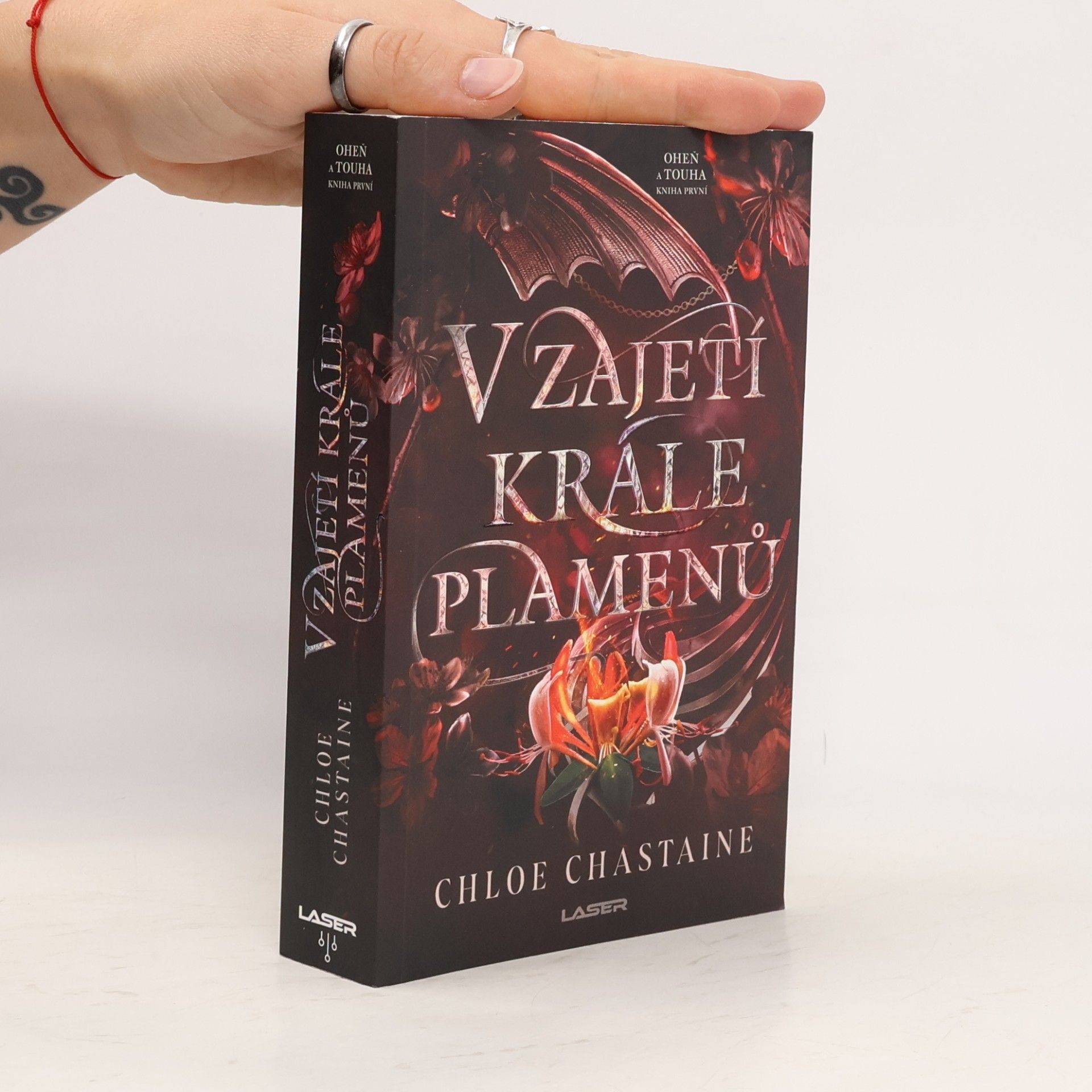 Chloe Chastaine V zajetí krále plamenů