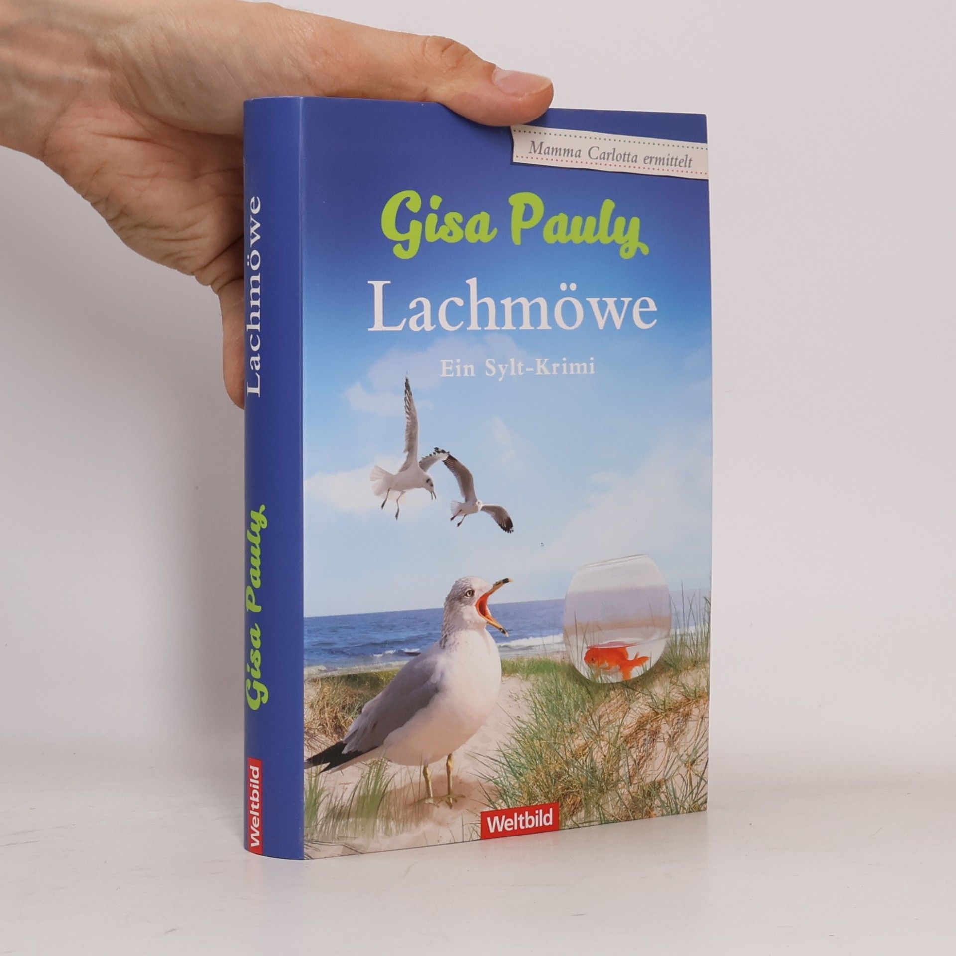 Gisela Pauly Lachmöwe