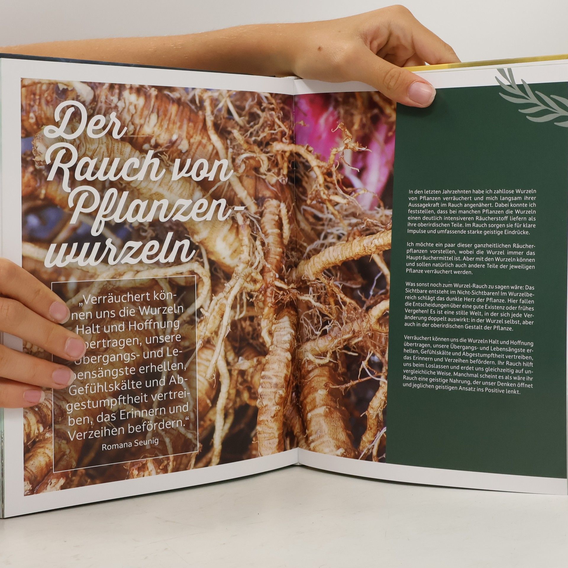 Romana Seunig Räuchern im Einklang mit der Natur. Räucherwerk aus Wald, Garten und Flur