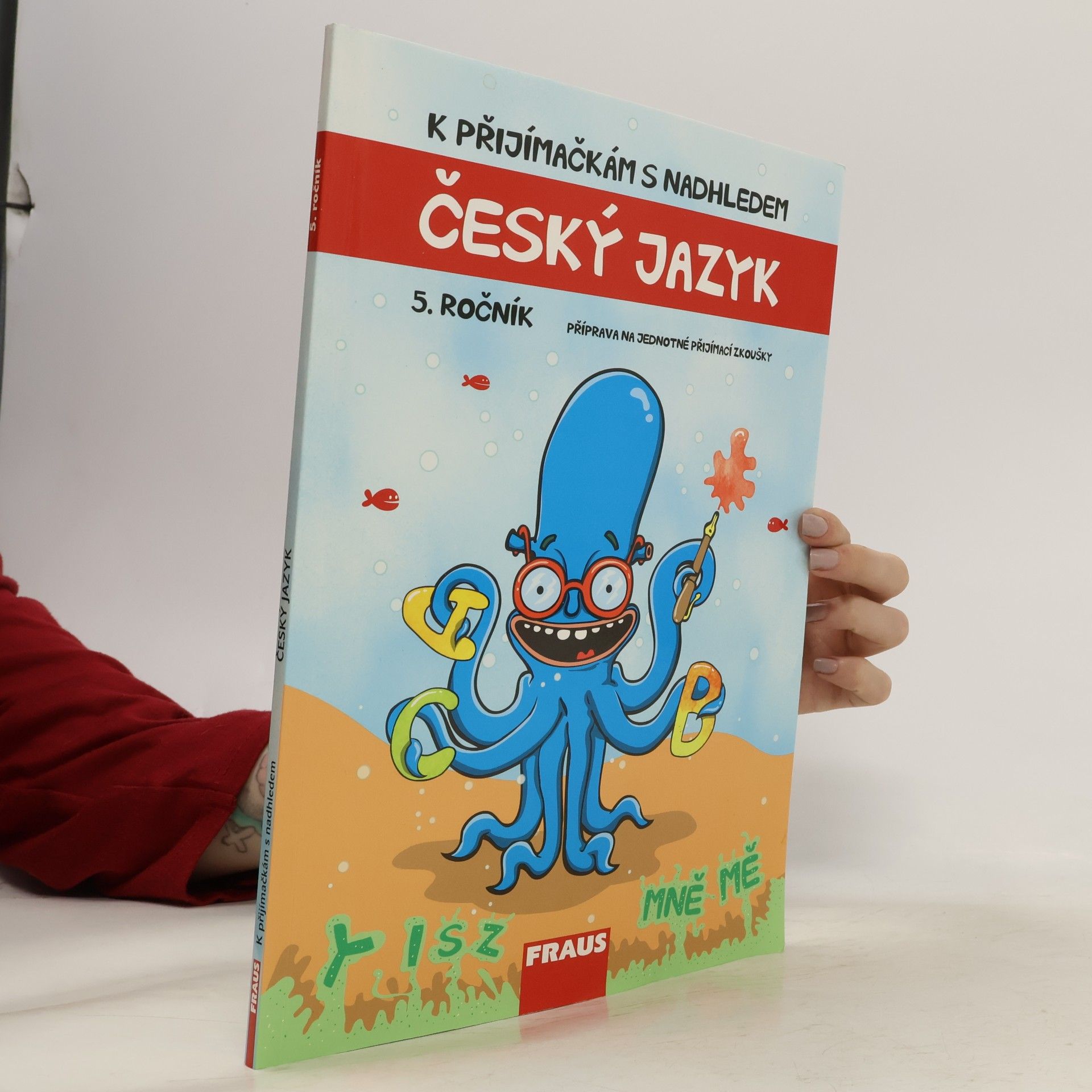 K přijímačkám s nadhledem - český jazyk