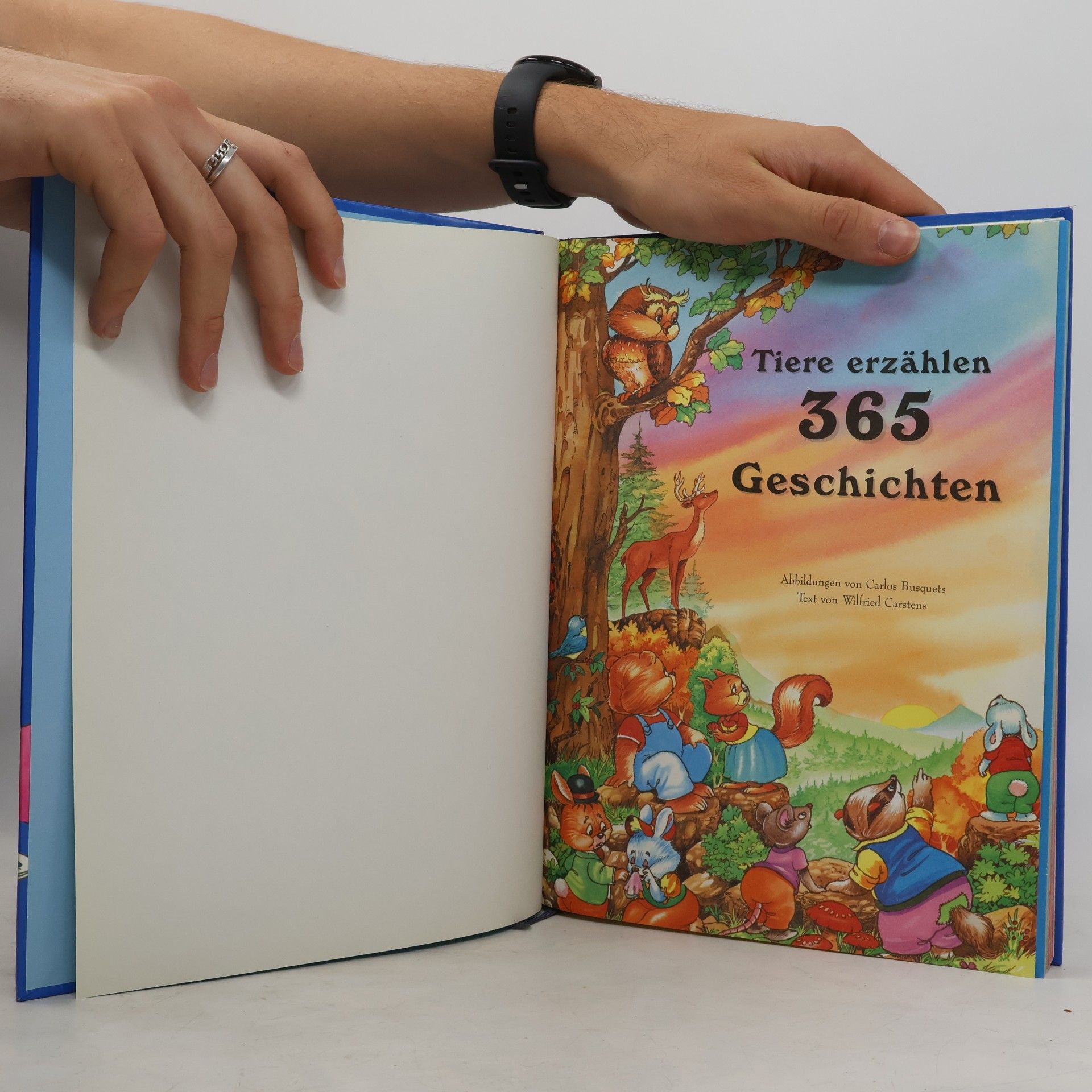 Autorenkollektiv Tiere erzählen 365 Geschichten