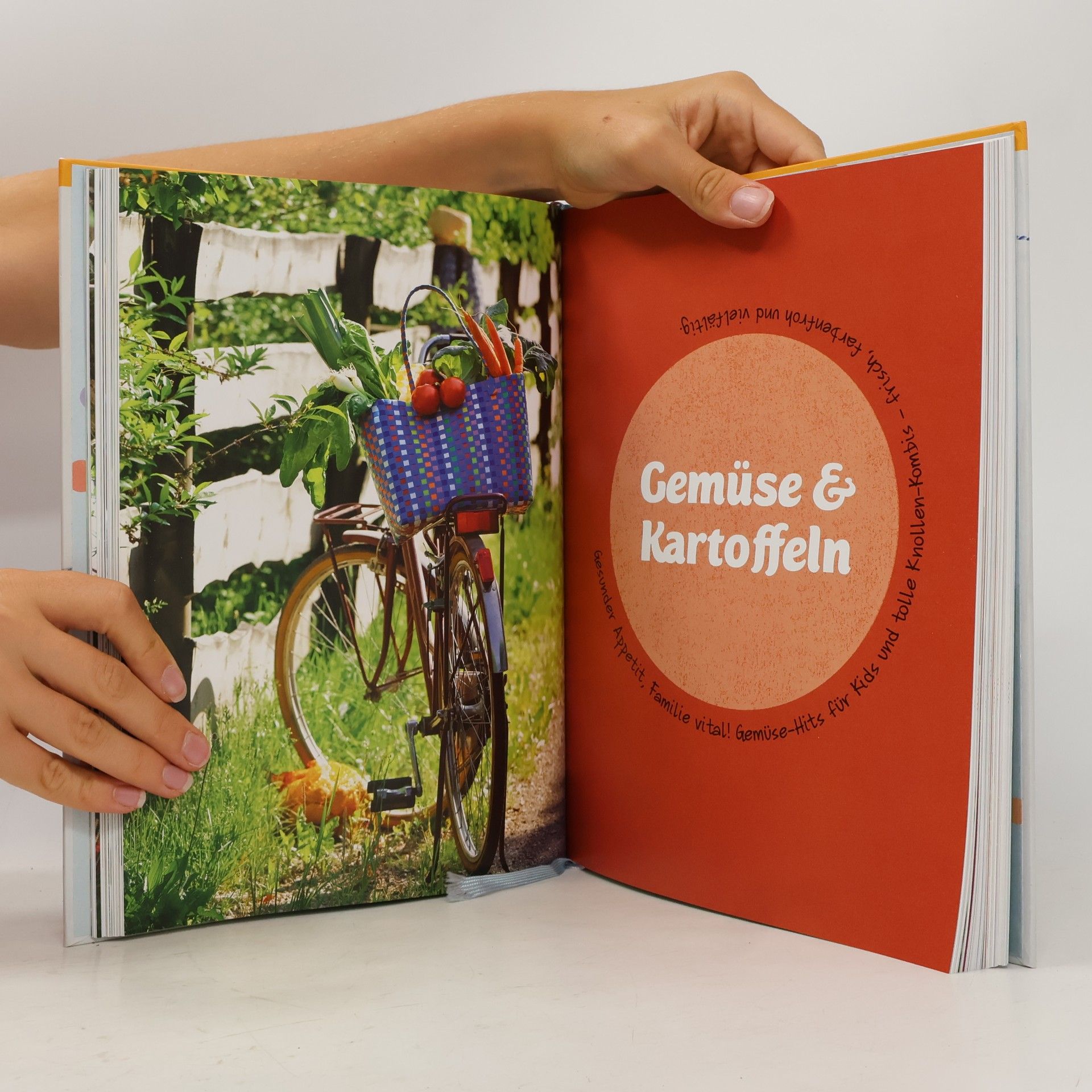 Marion Grillparzer Das grosse Familien-Kochbuch