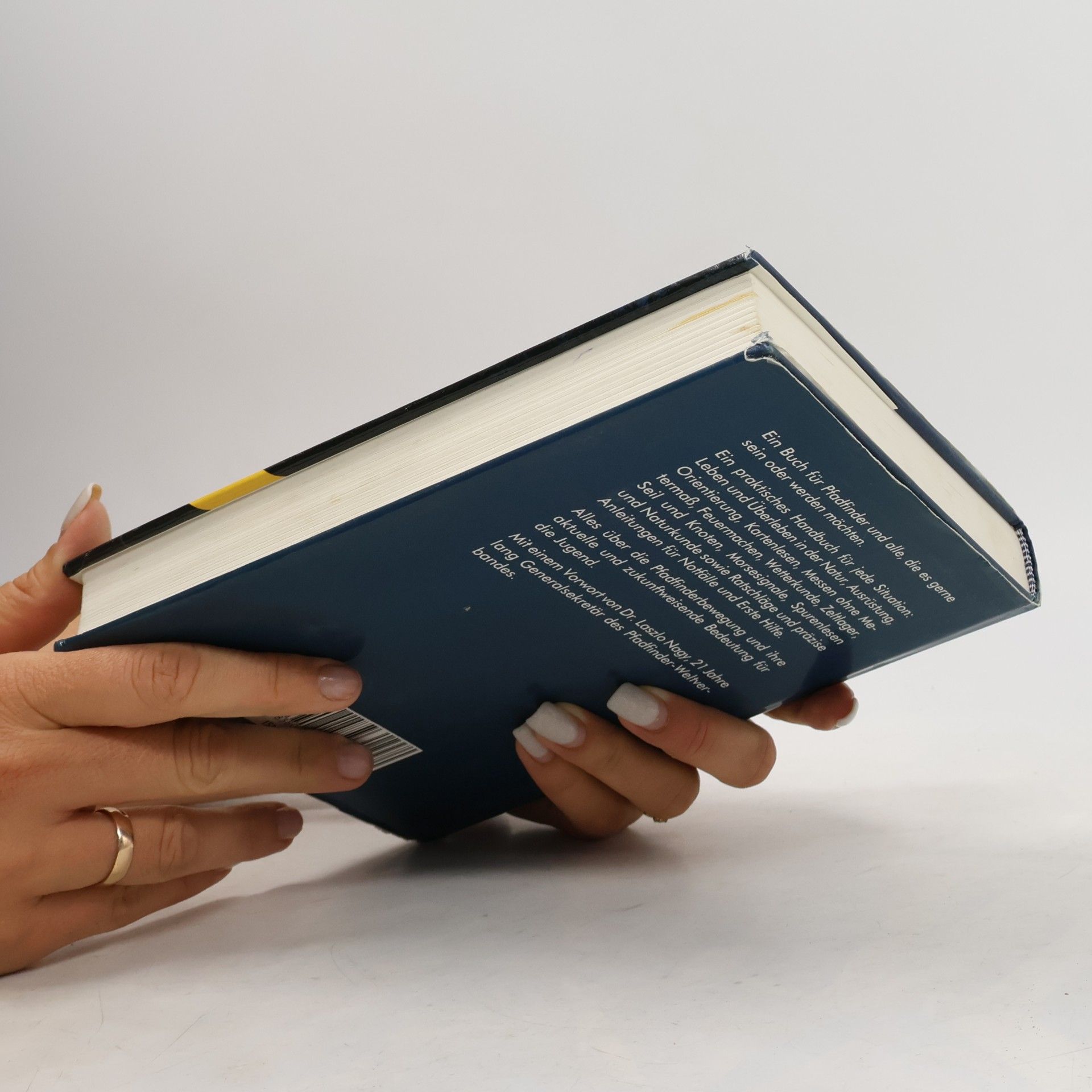 Walter Hansen Das grosse Pfadfinderbuch