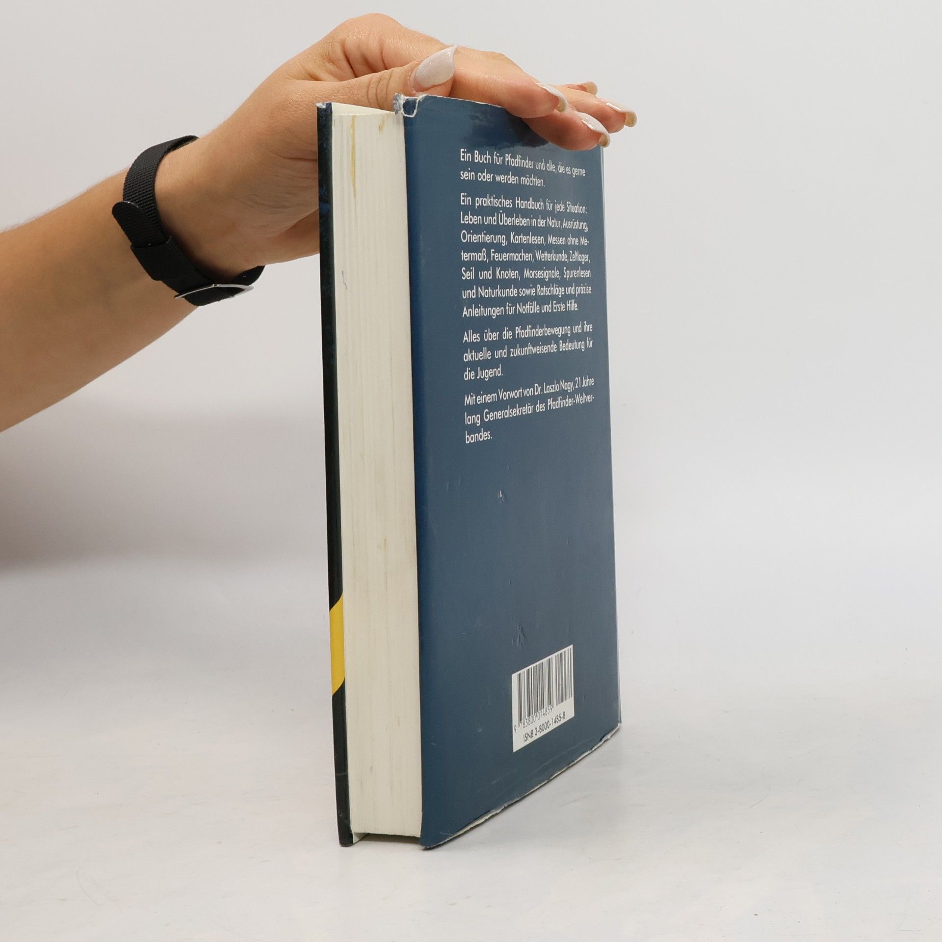 Walter Hansen Das grosse Pfadfinderbuch