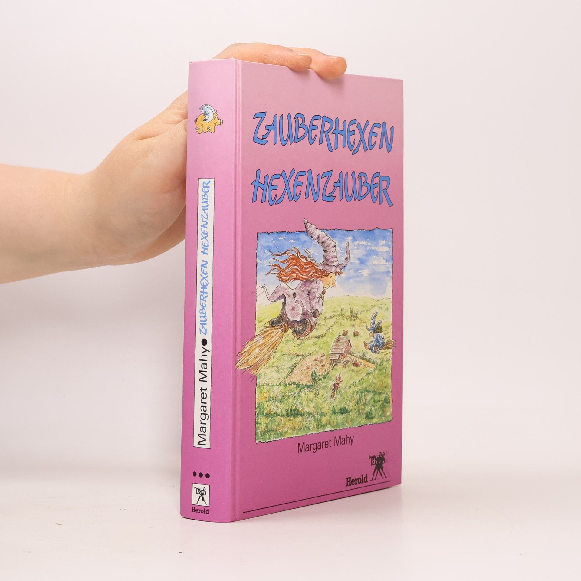 Zauberhexen, Hexenzauber