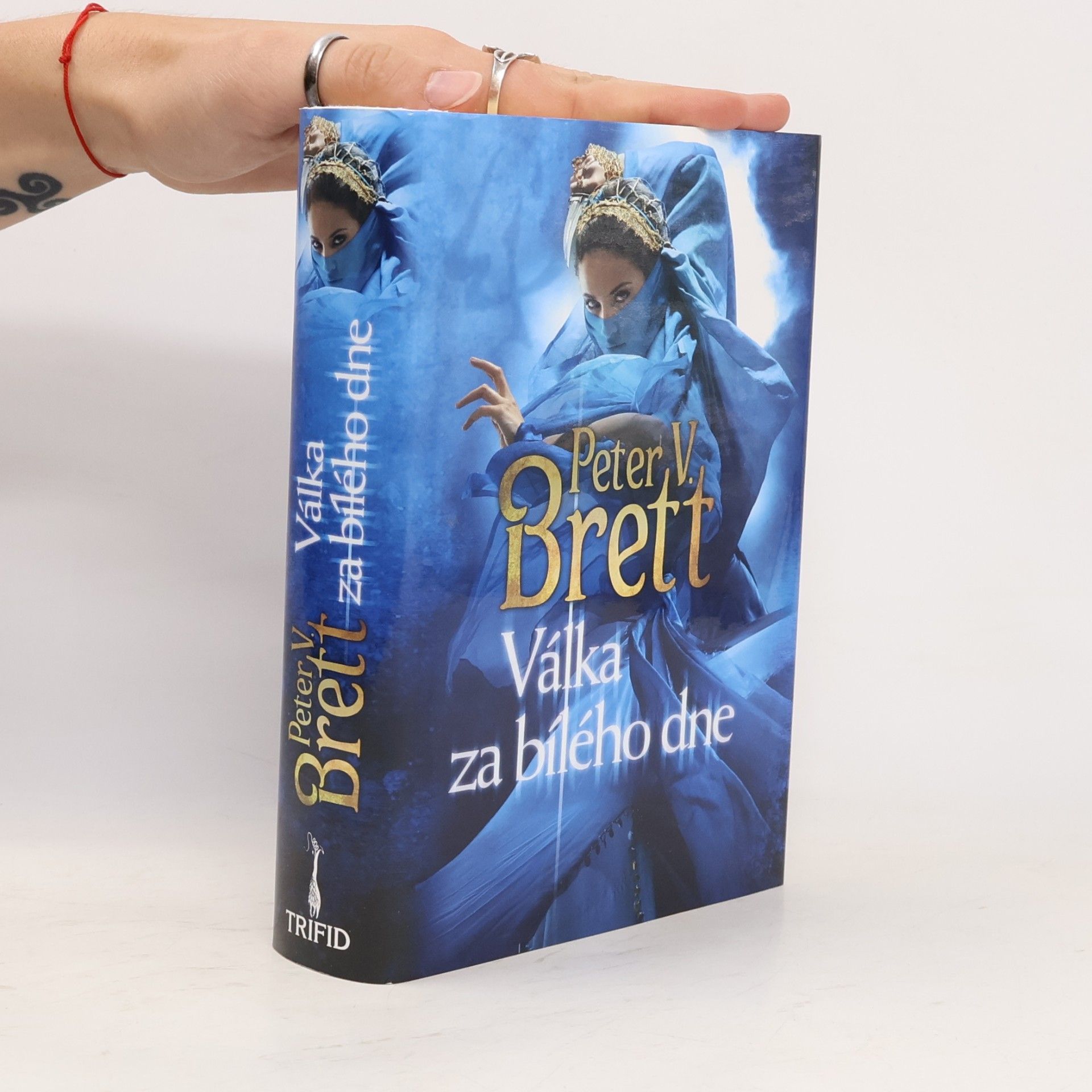 Peter V. Brett Válka za bílého dne