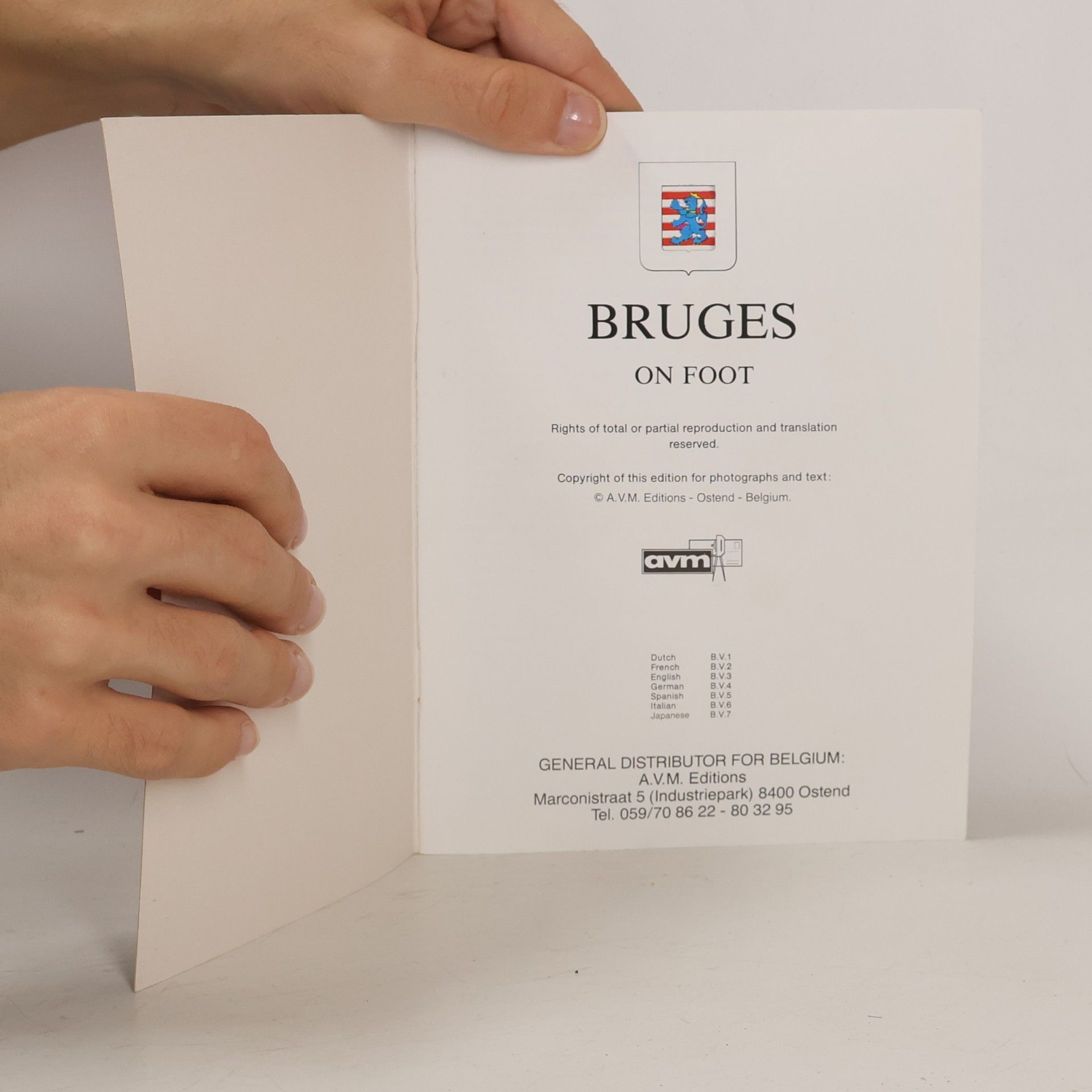Collectif d'auteurs Bruges on Foot