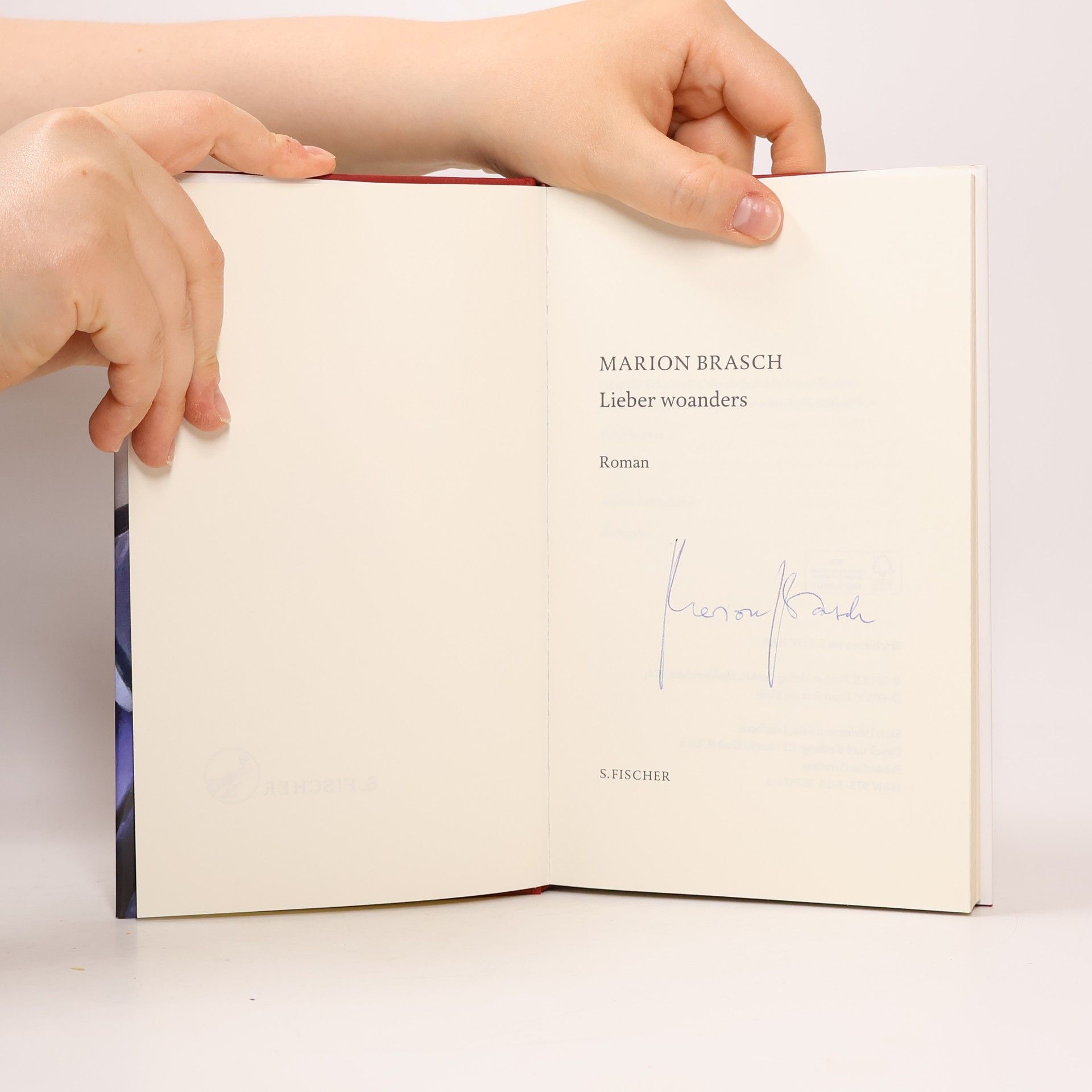 Marion Brasch Lieber woanders