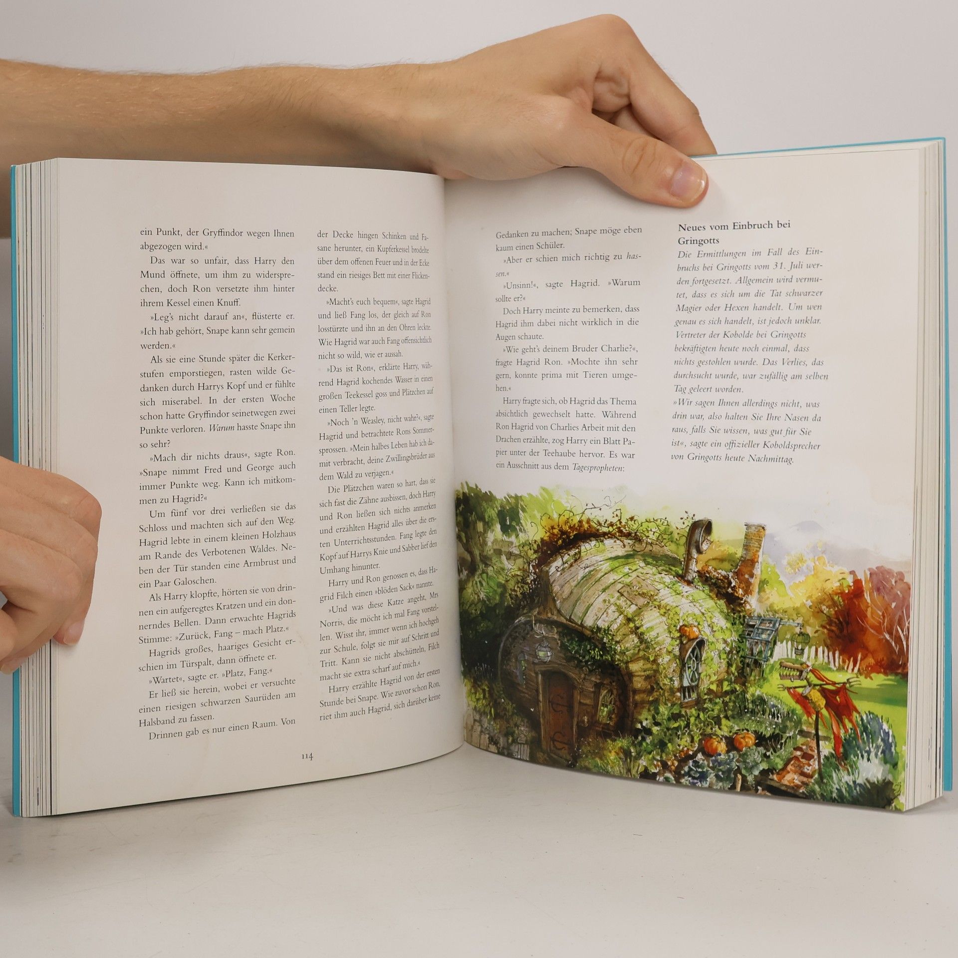 J. K. Rowling Harry Potter und der Stein der Weisen