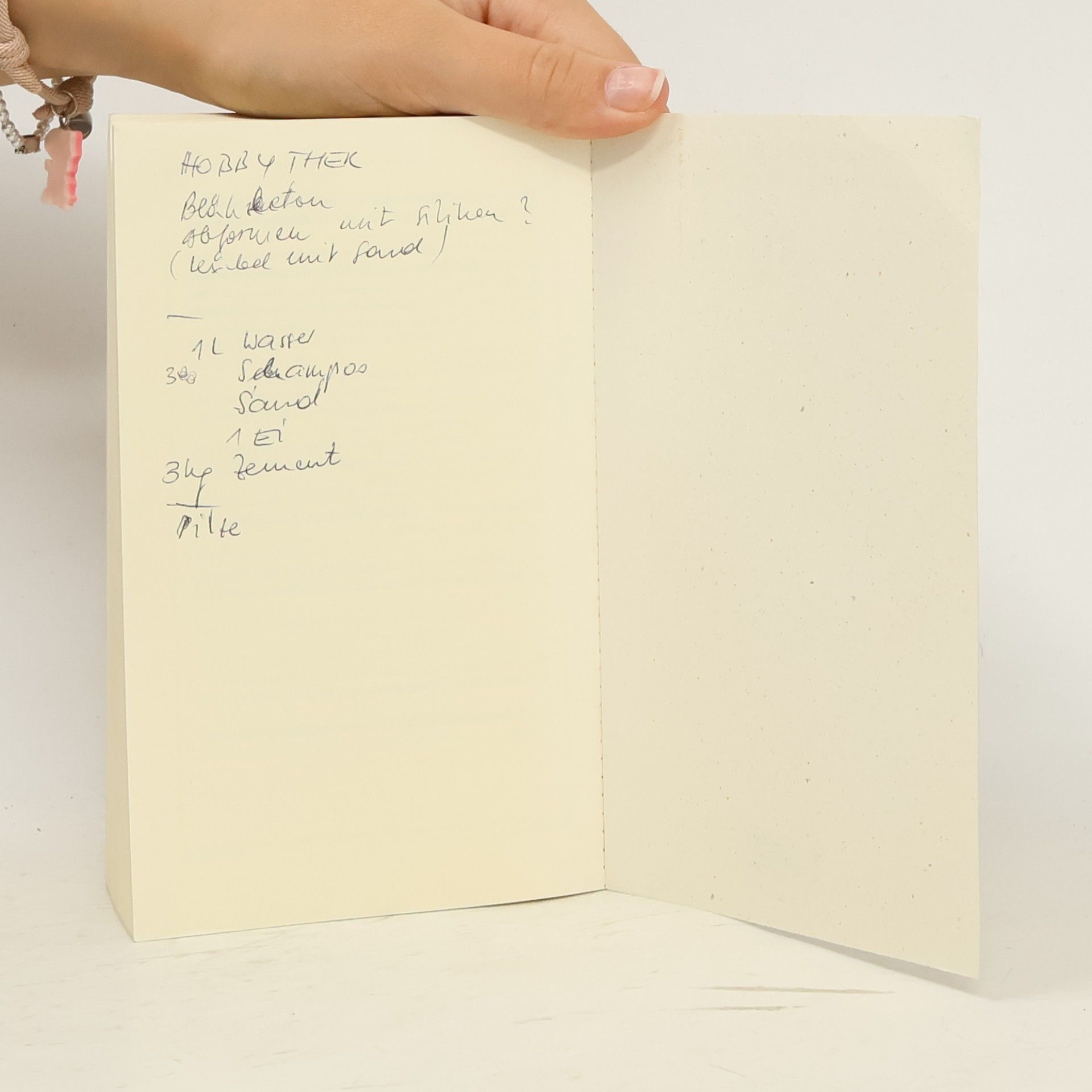 Peter Handke Der Bildverlust