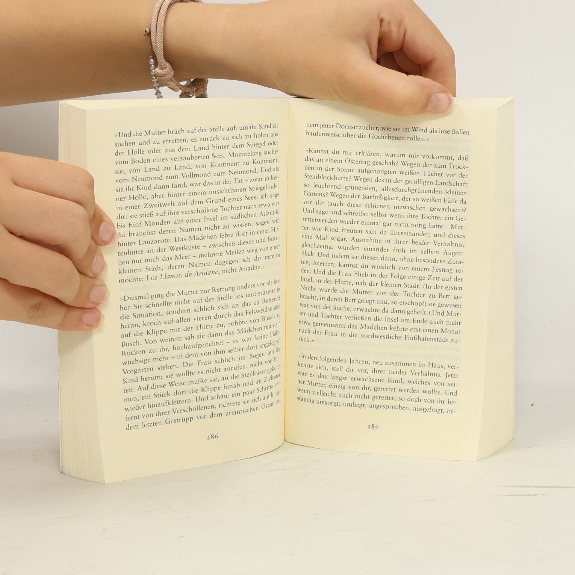 Peter Handke Der Bildverlust