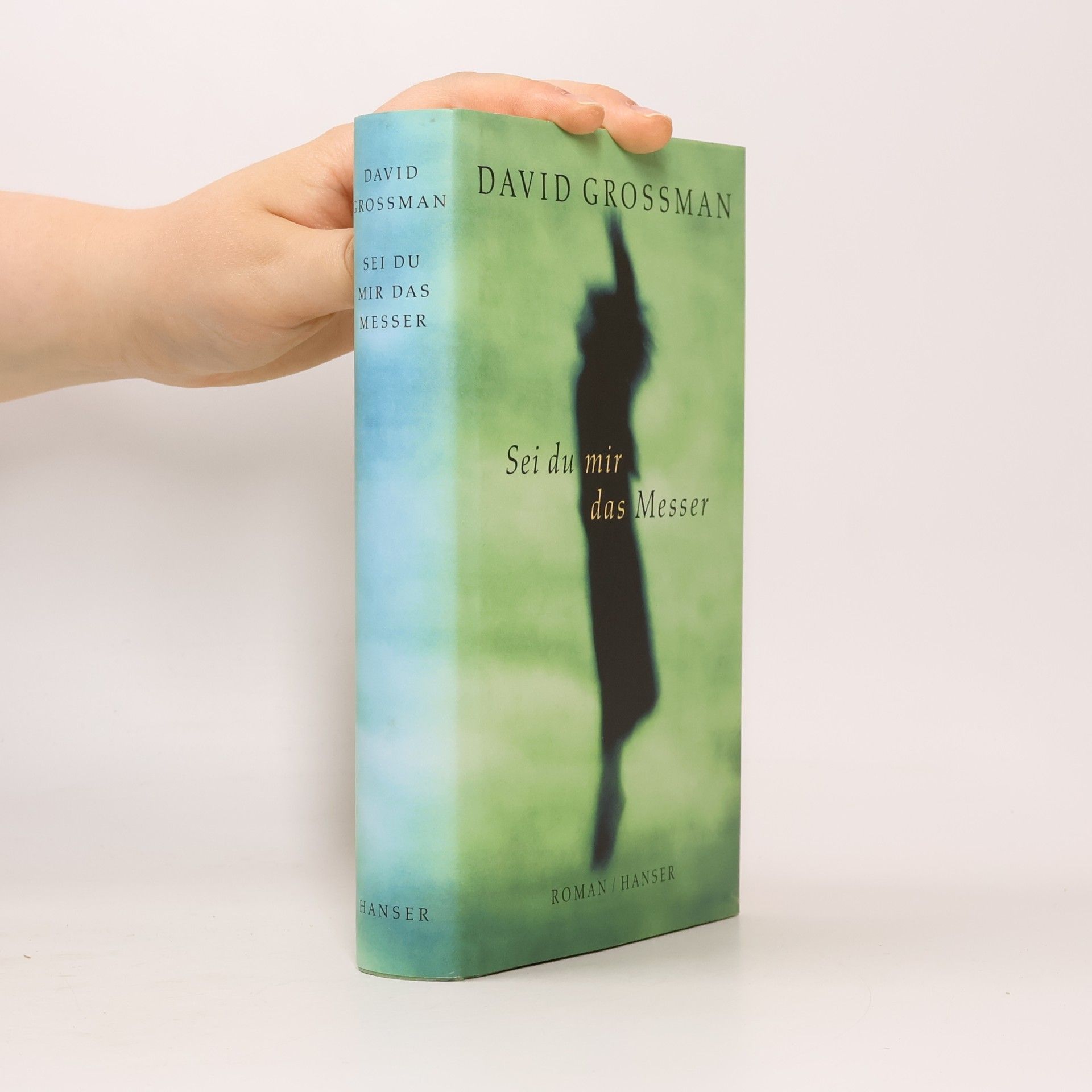 David Grossman Sei du mir das Messer