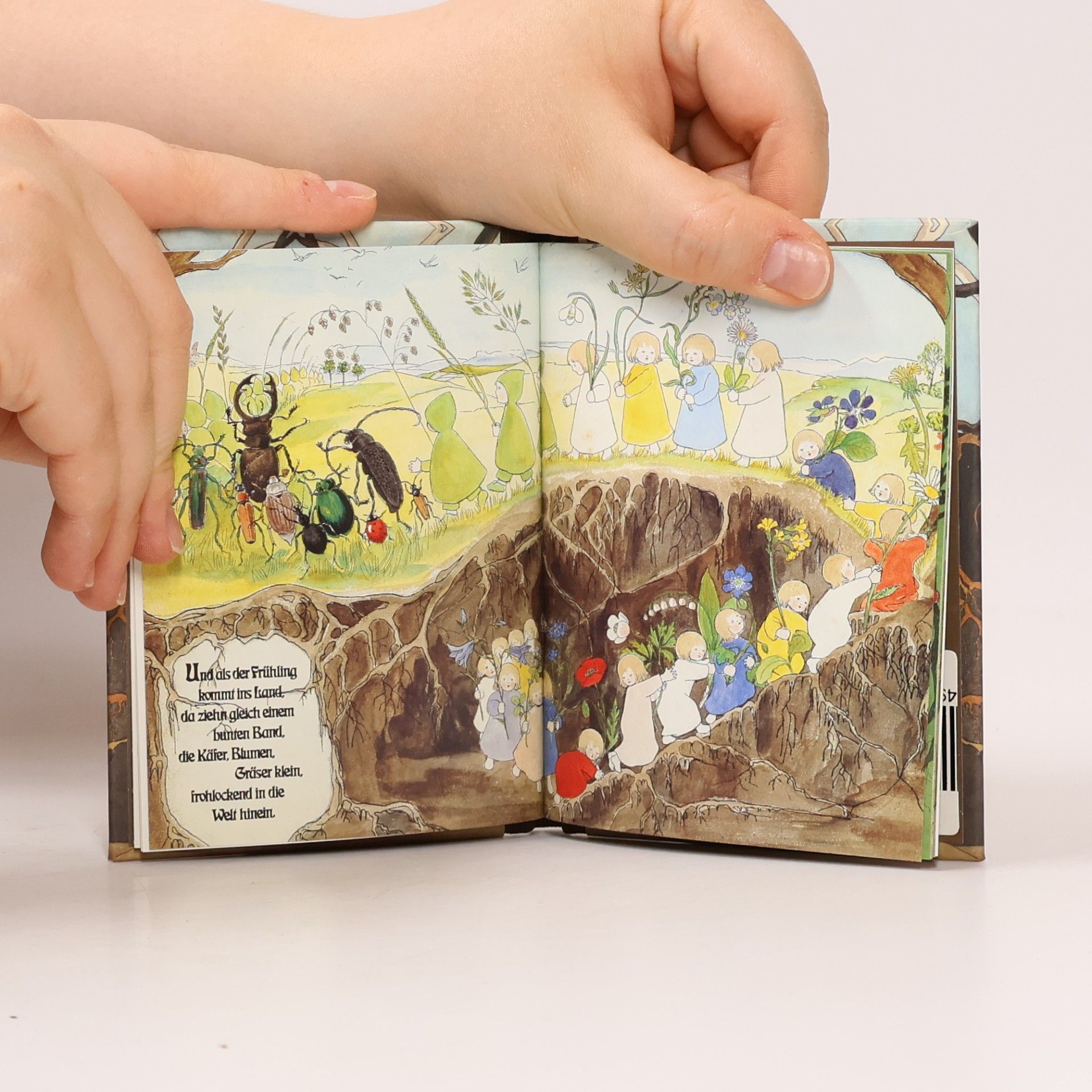 Sibylle von Olfers Etwas von den Wurzelkindern