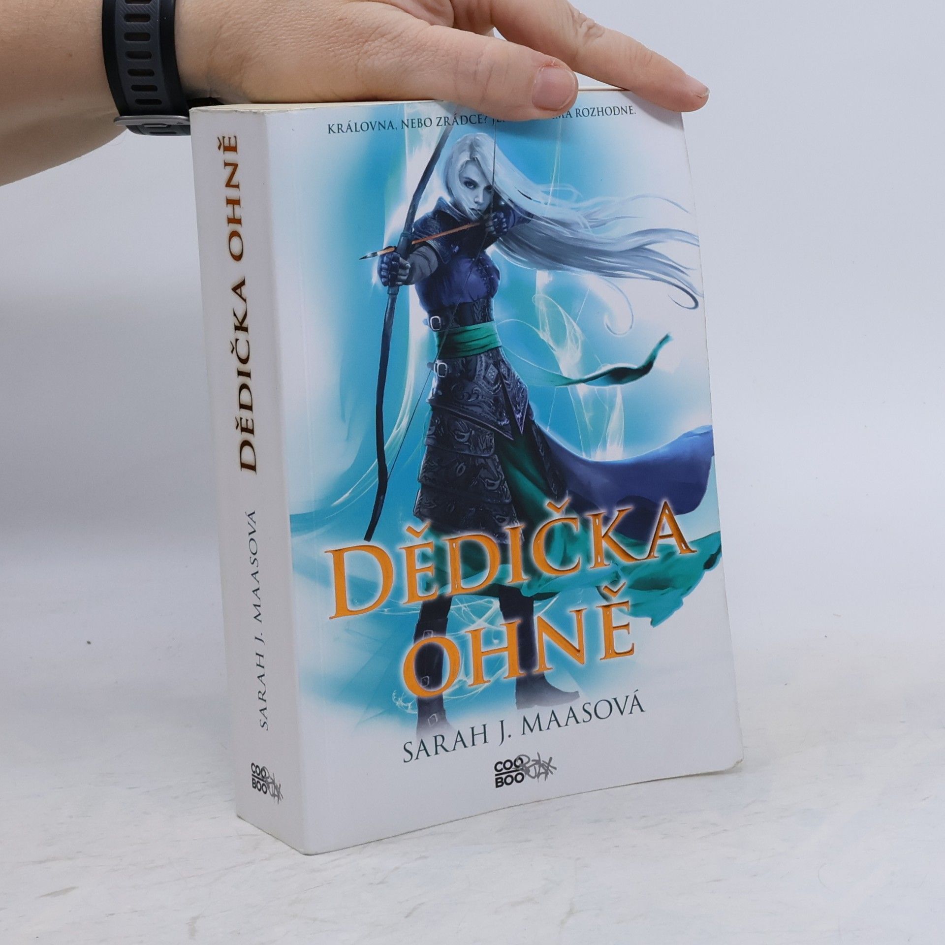 Sarah J. Maas Dědička ohně