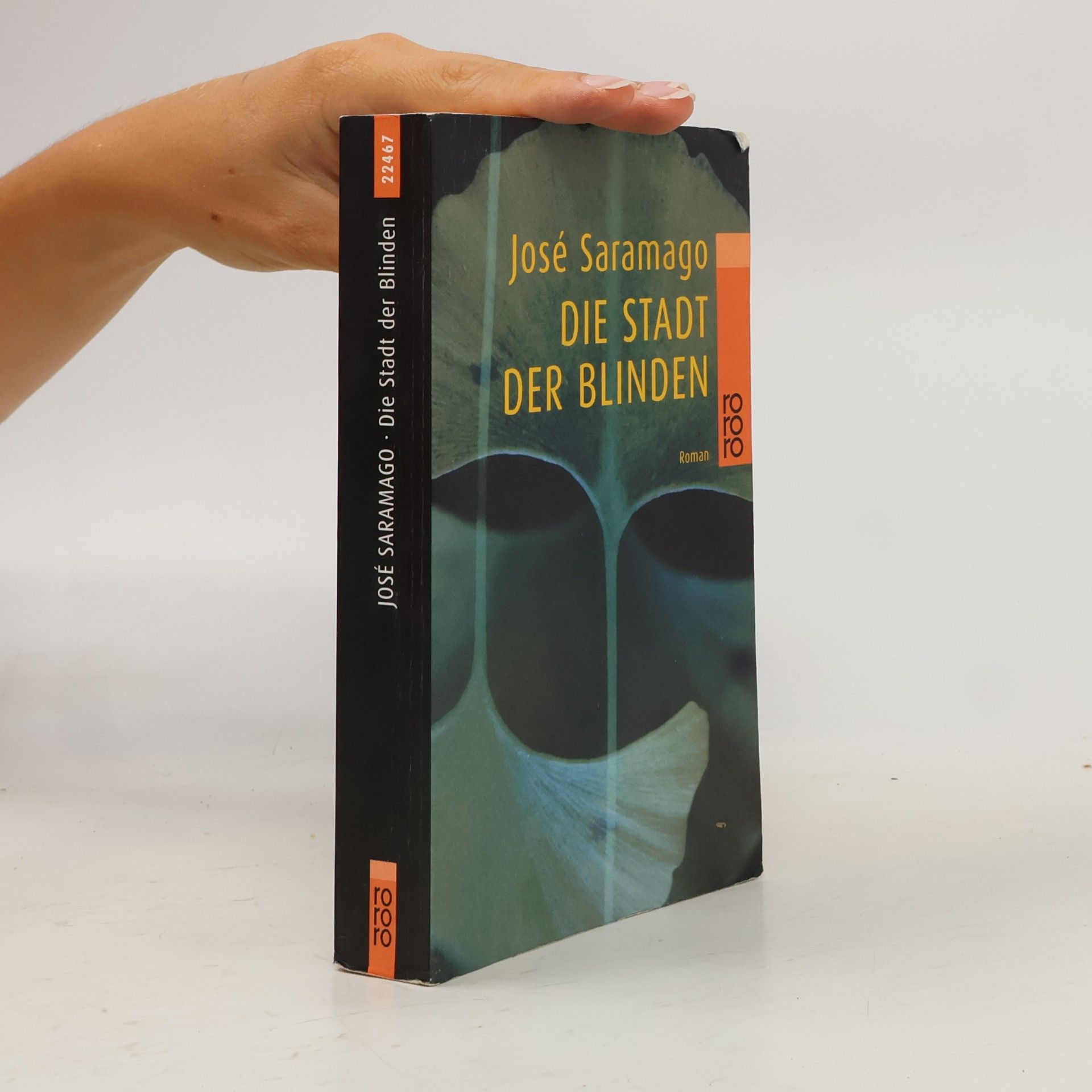 José Saramago Die Stadt der Blinden