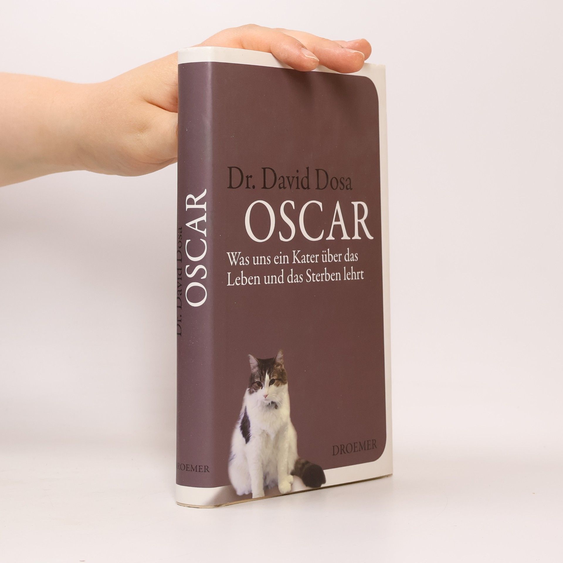 David Dosa Oscar. Was uns ein Kater über das Leben und das Sterben lehrt