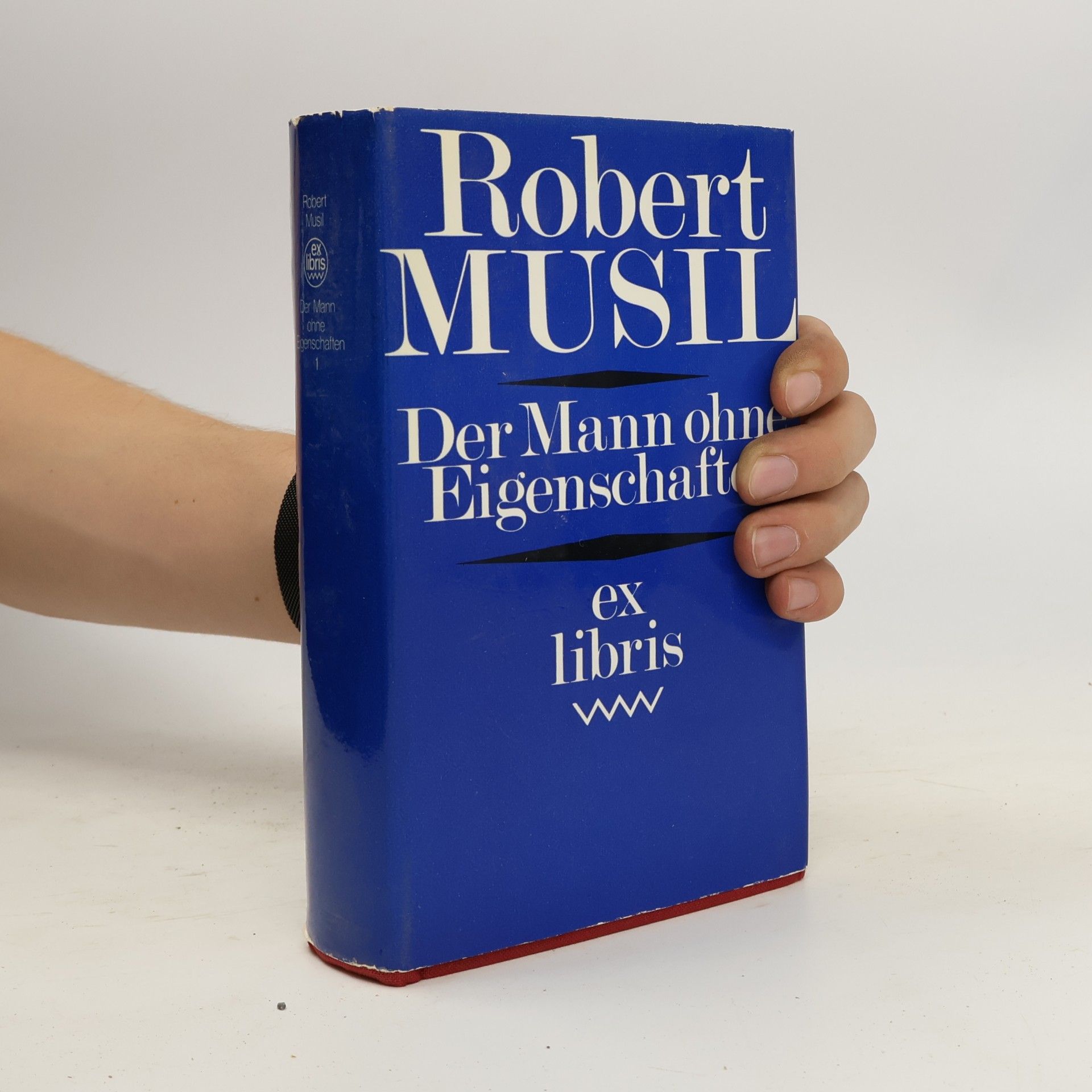 Robert Musil Der Mann ohne Eigenschaften 1