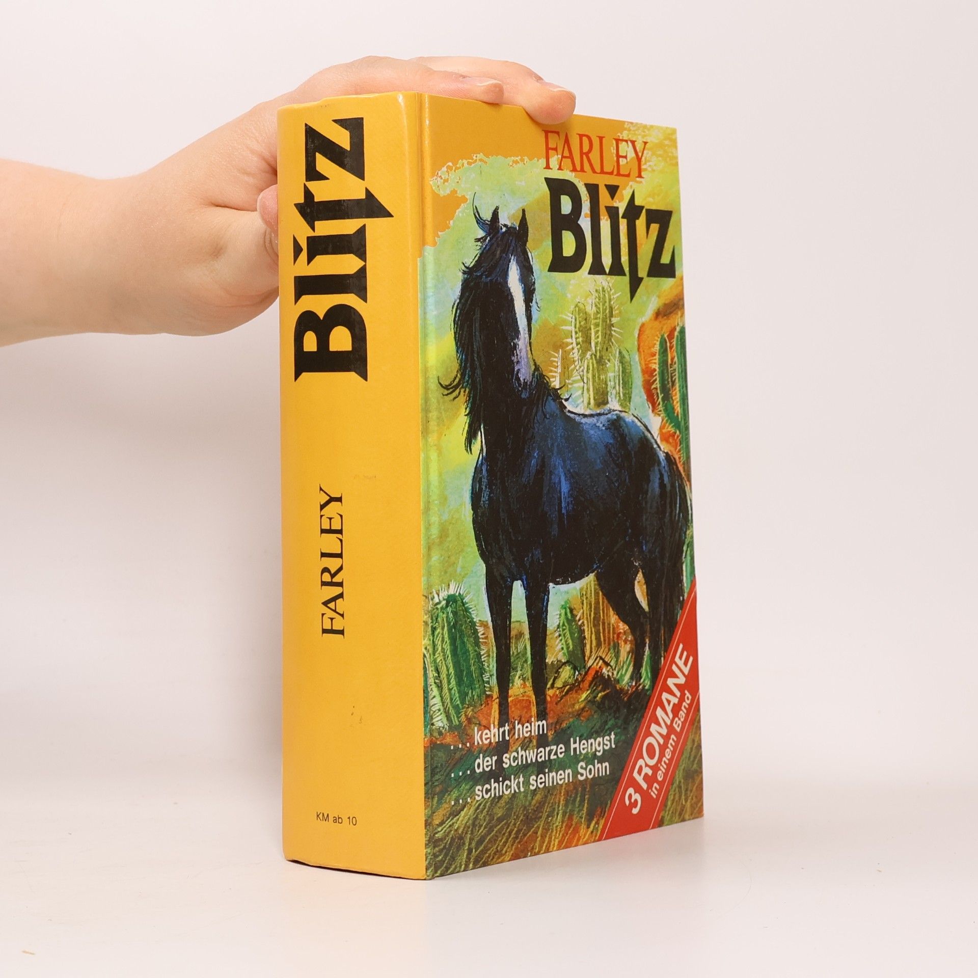 Walter Farley Blitz. 3 Romane in einem Band