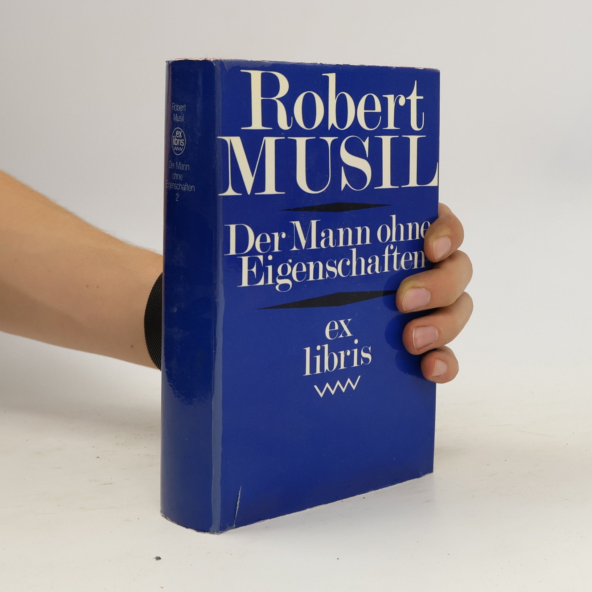 Robert Musil Der Mann ohne Eigenschaften 2