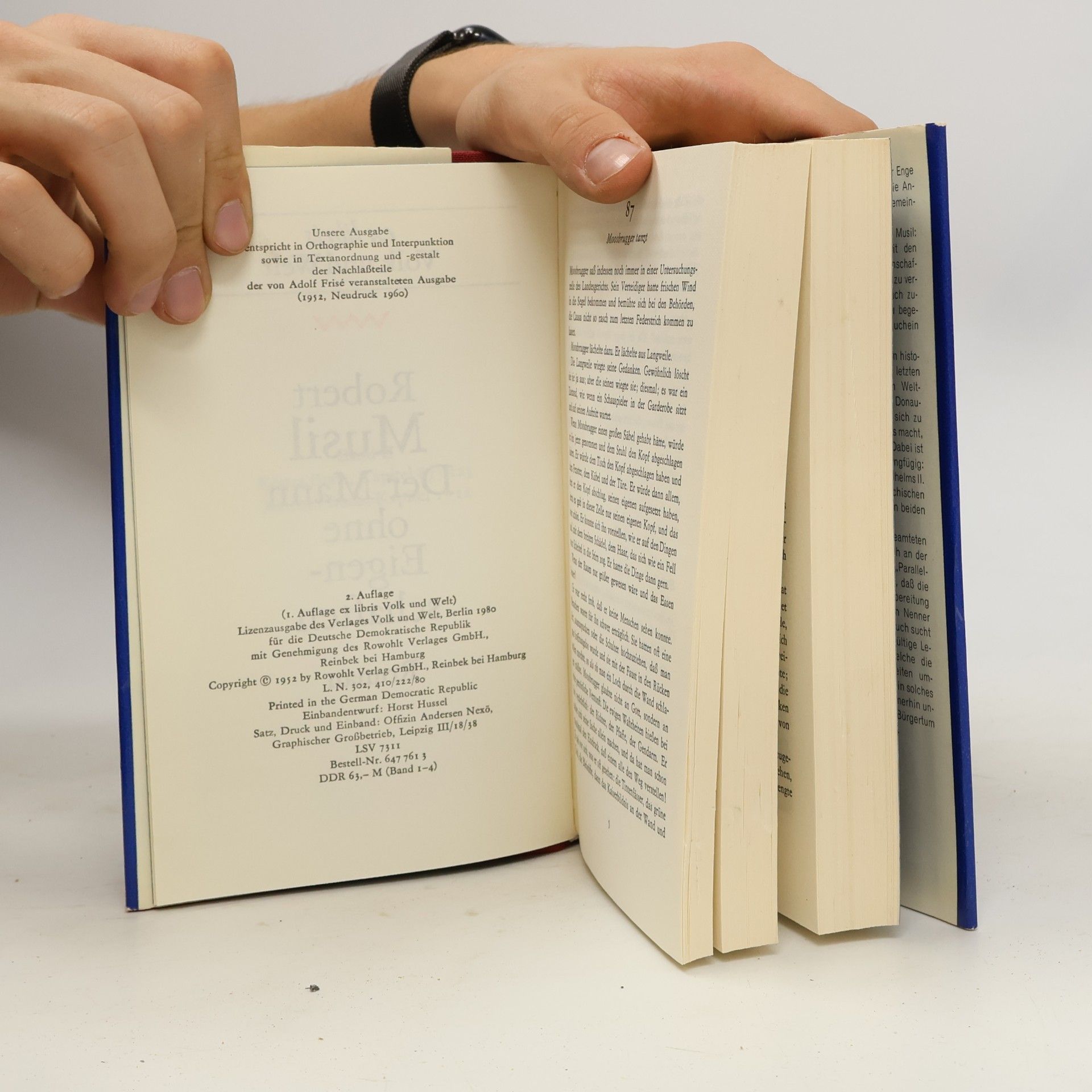 Robert Musil Der Mann ohne Eigenschaften 2