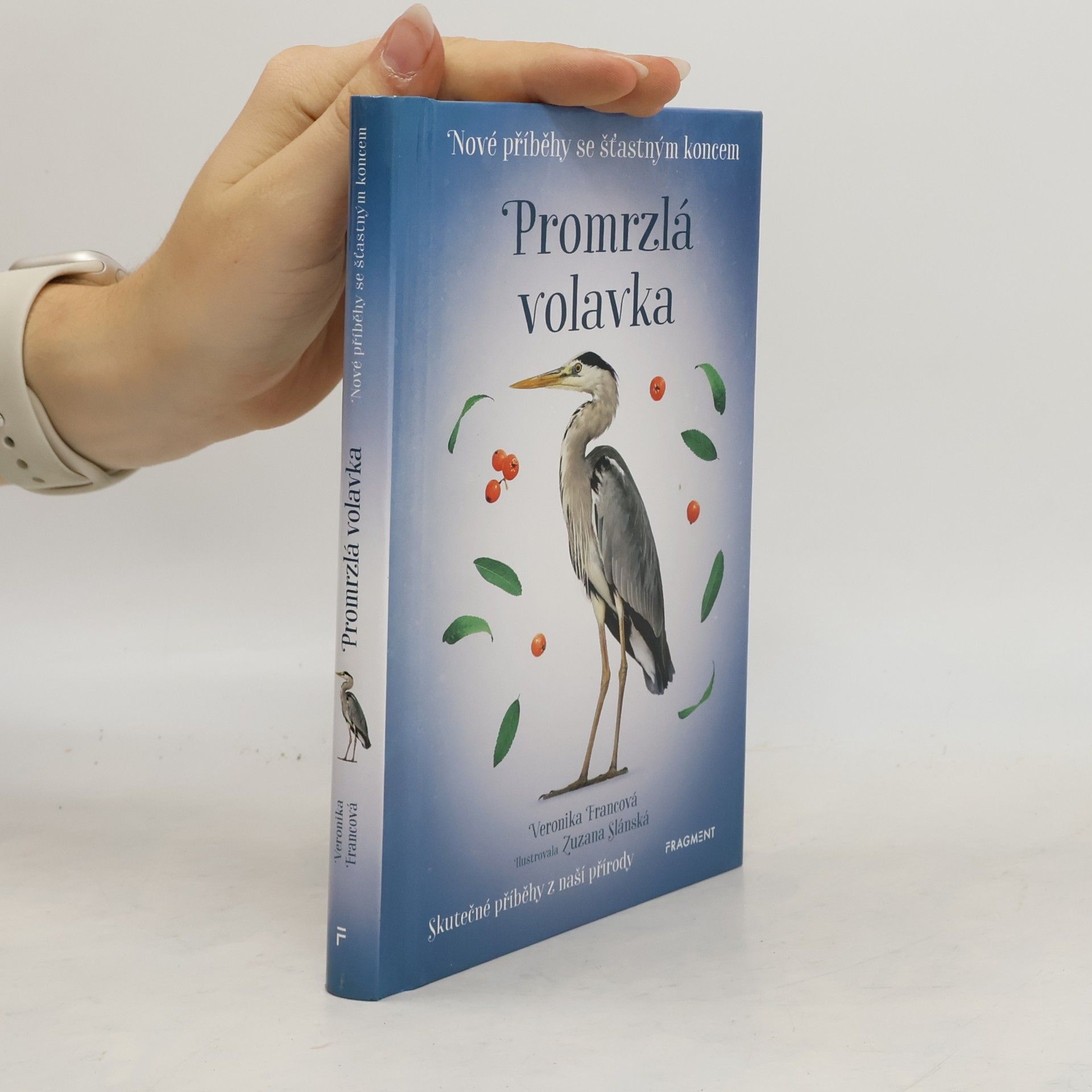 Promrzlá volavka