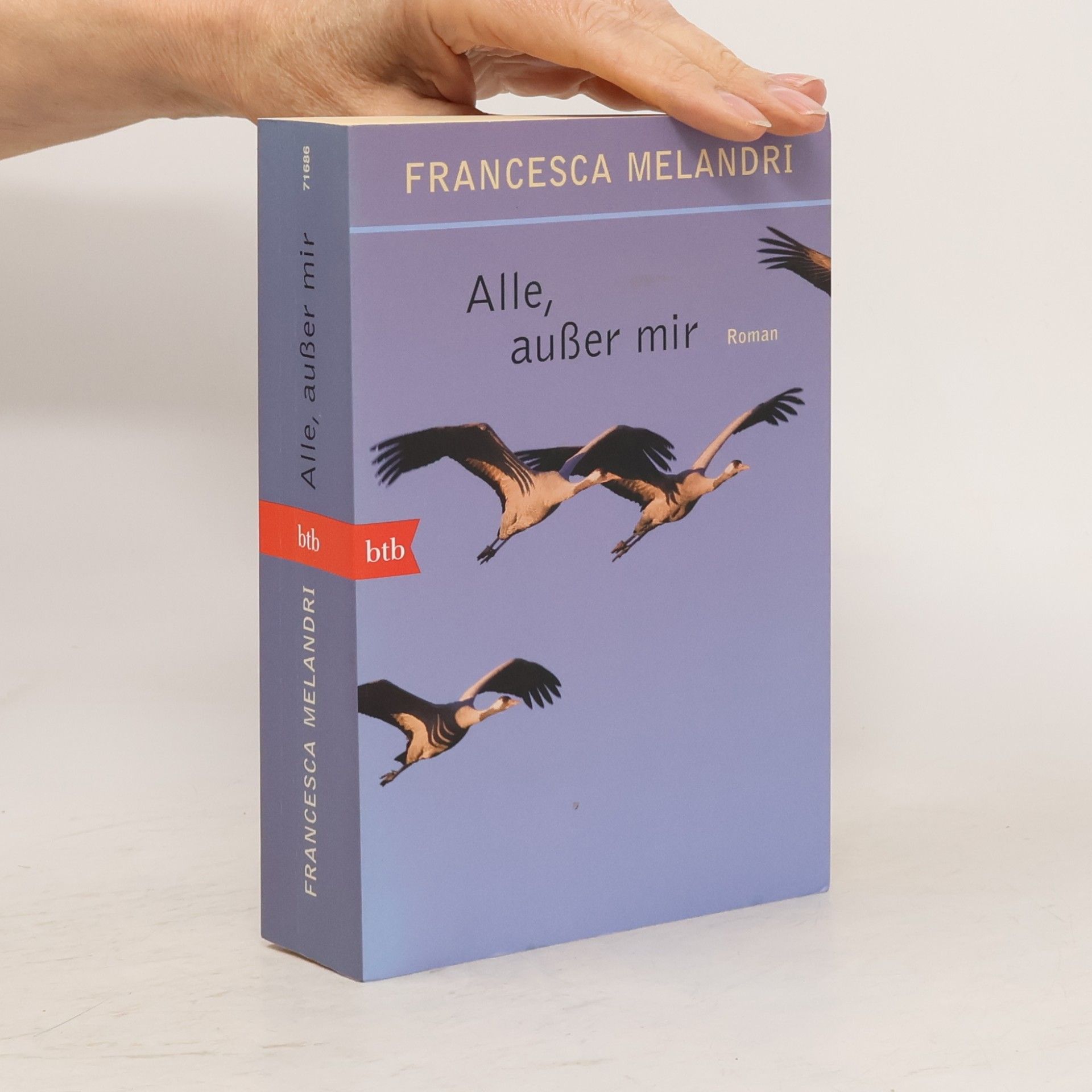 Francesca Melandri Alle, außer mir