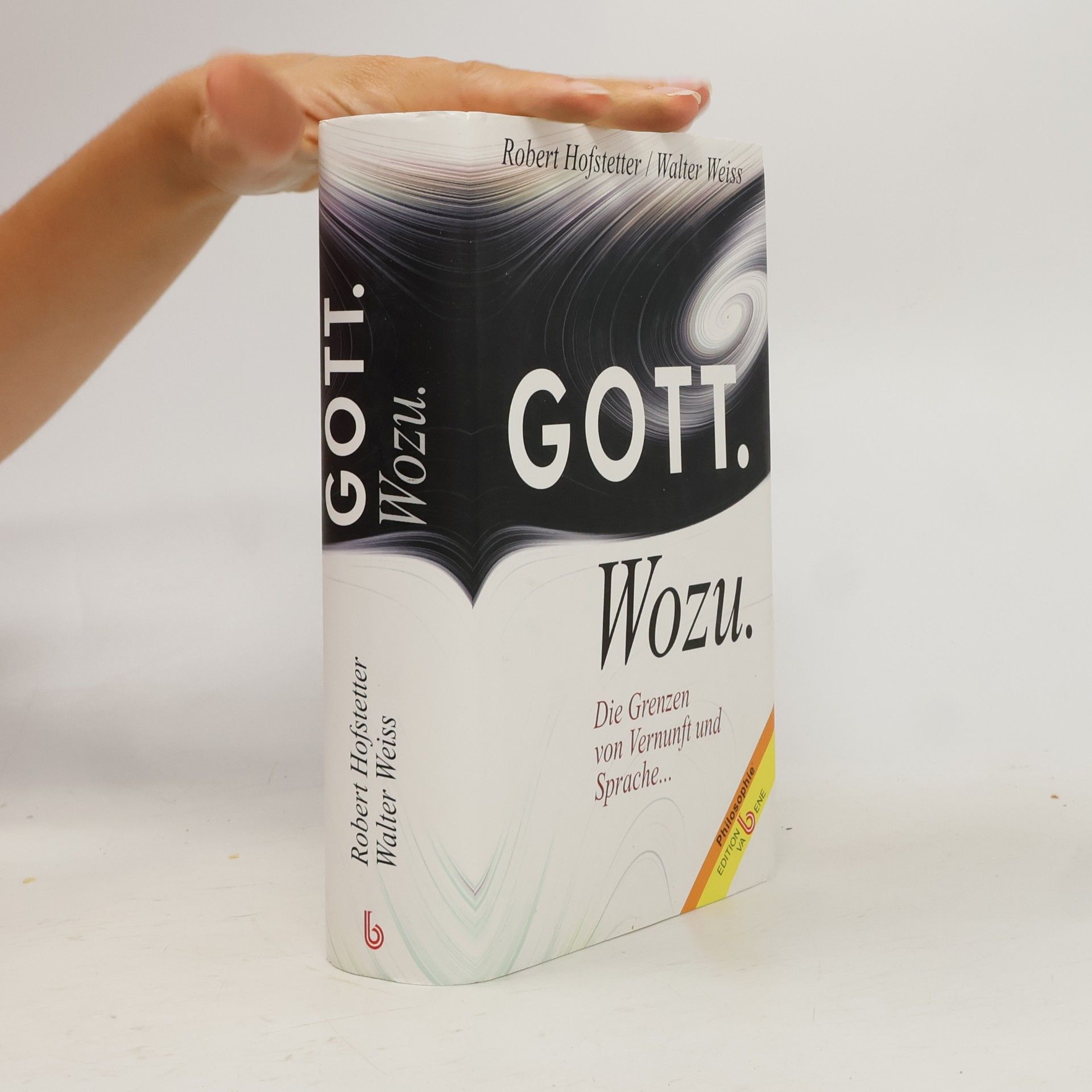 Robert Hofstetter Gott. Wozu