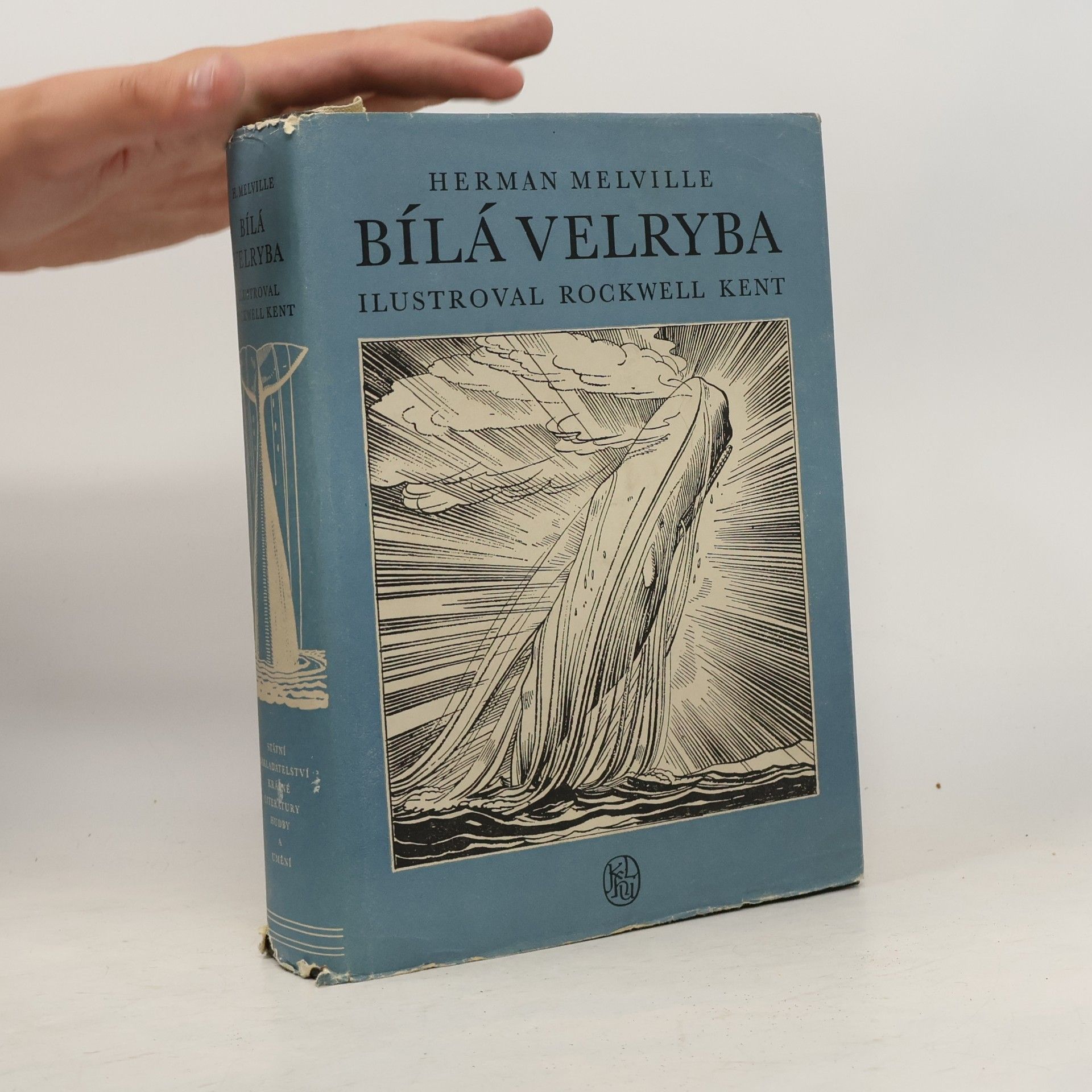 Herman Melville Bílá velryba