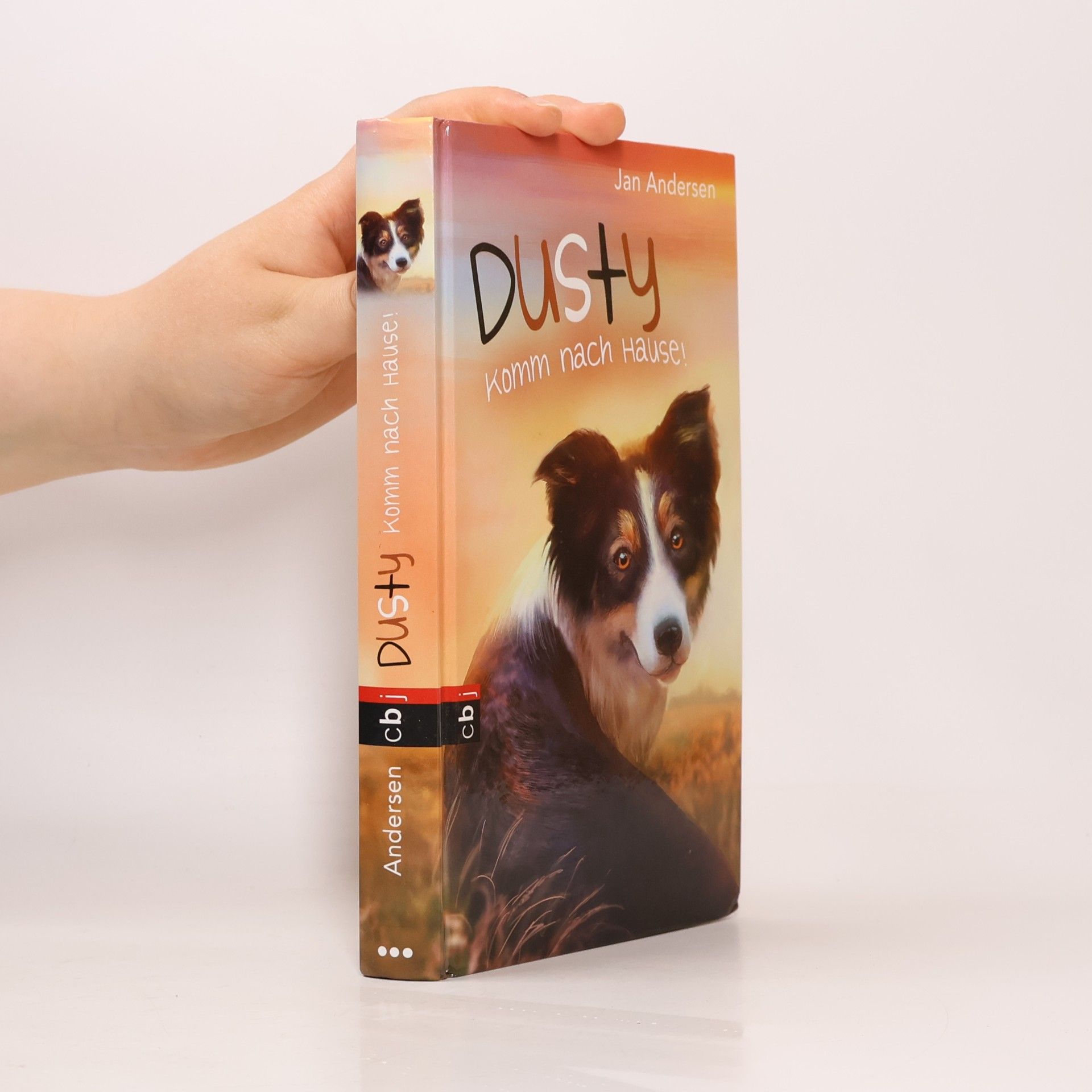 Wolfram Hänel Dusty - komm nach Hause!