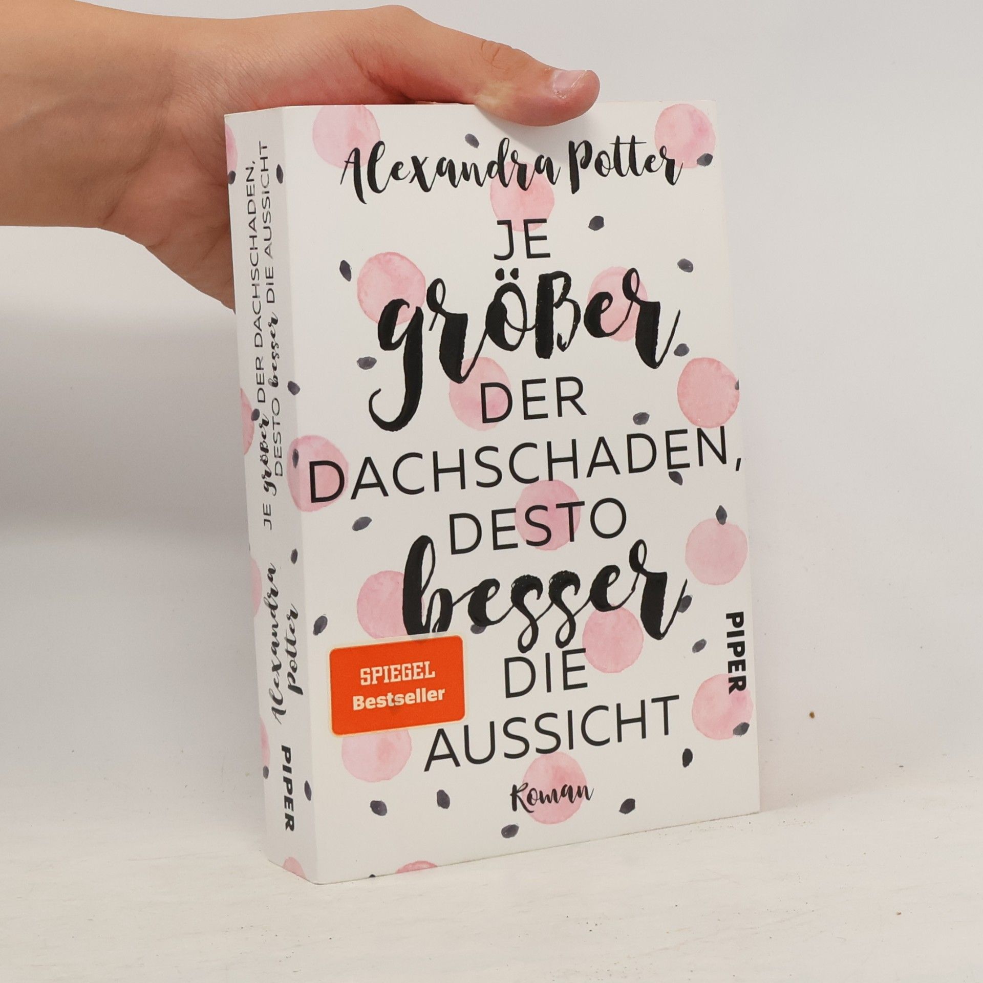 Alexandra Potter Je größer der Dachschaden, desto besser die Aussicht
