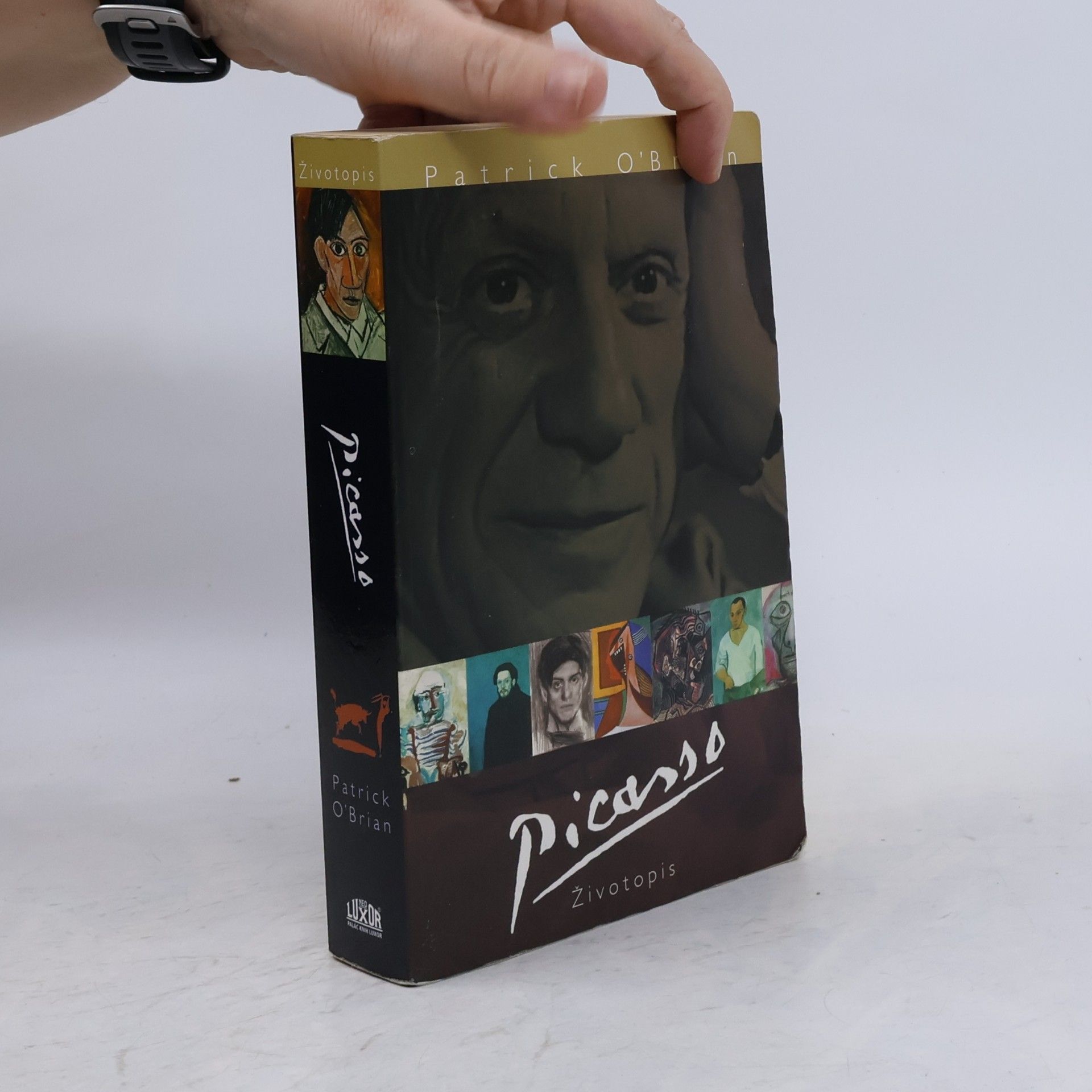 Patrick O’Brian Picasso. Životopis