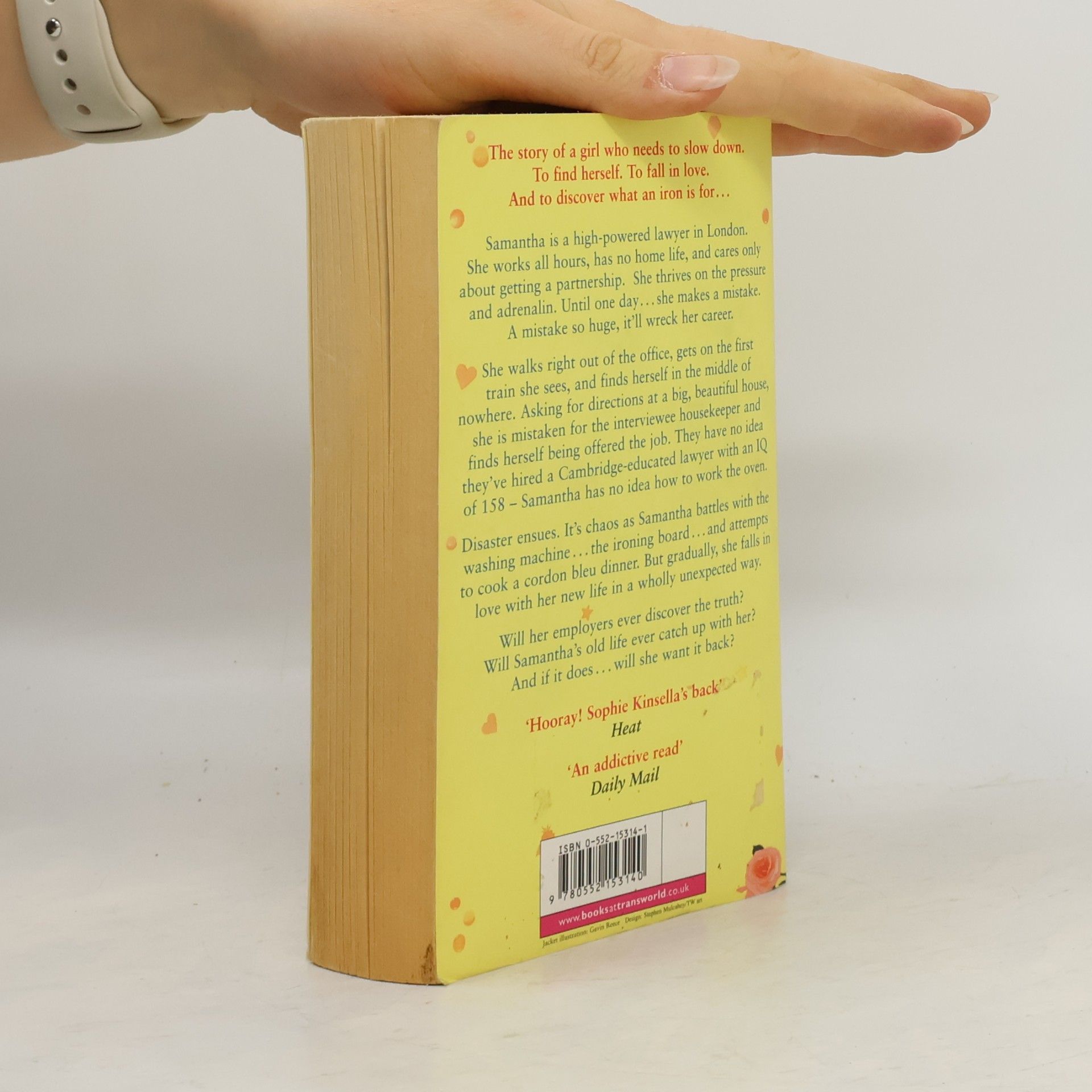 Sophie Kinsella The Undomestic Goddess