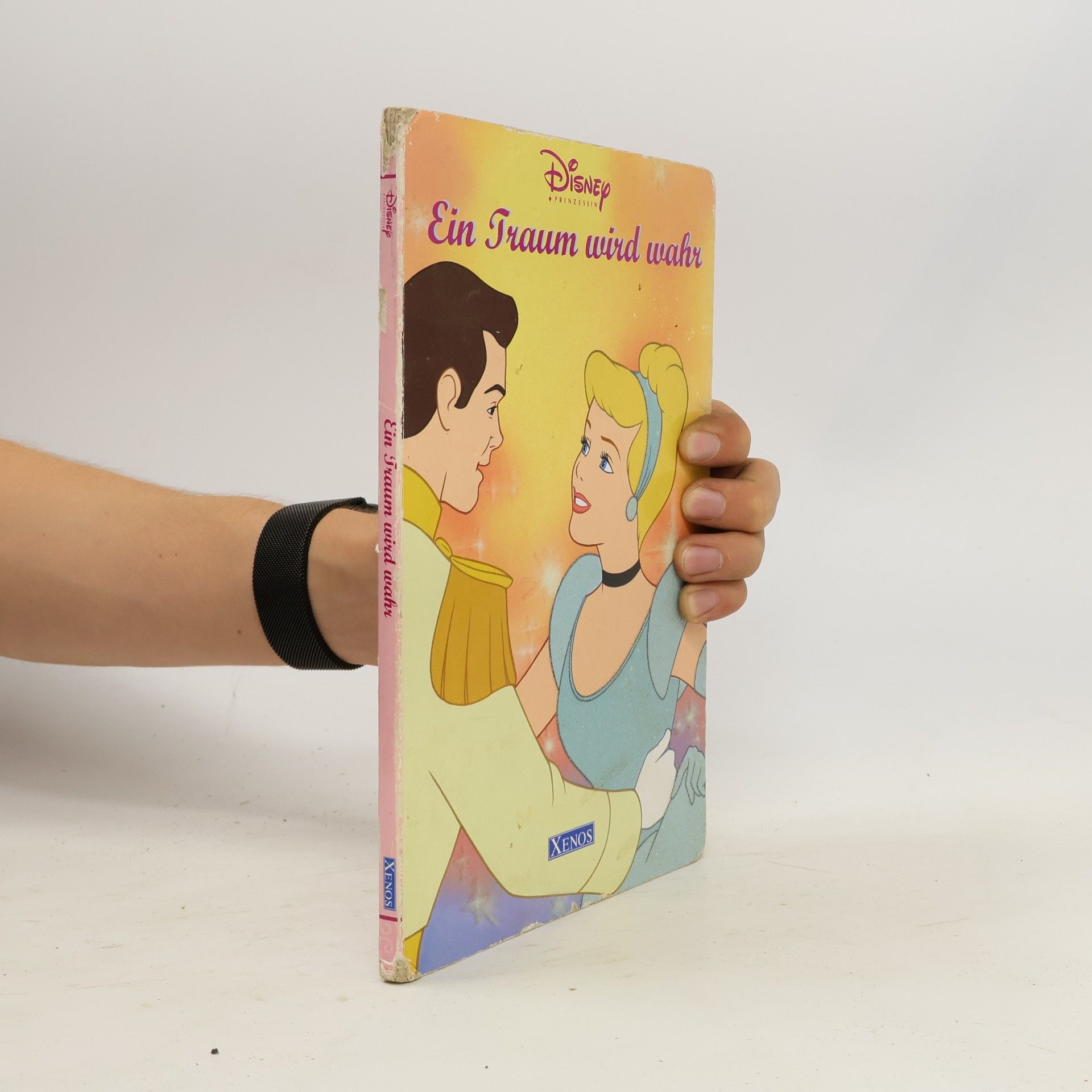 Tina Moser Ein Traum wird wahr. Disney Prinzessin