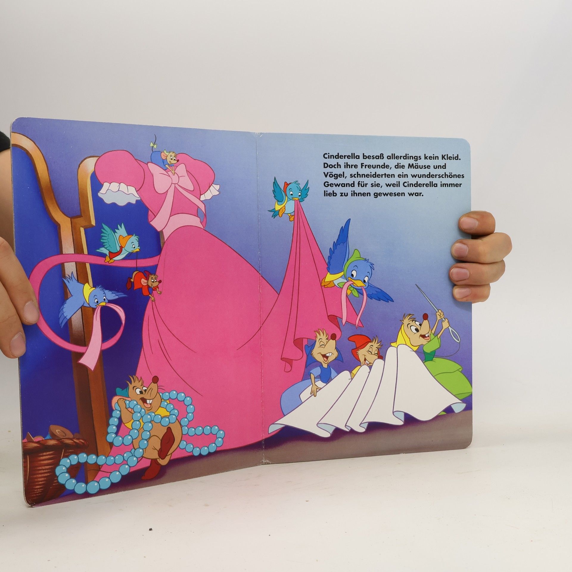 Walt Disney Ein Traum wird wahr. Disney Prinzessin