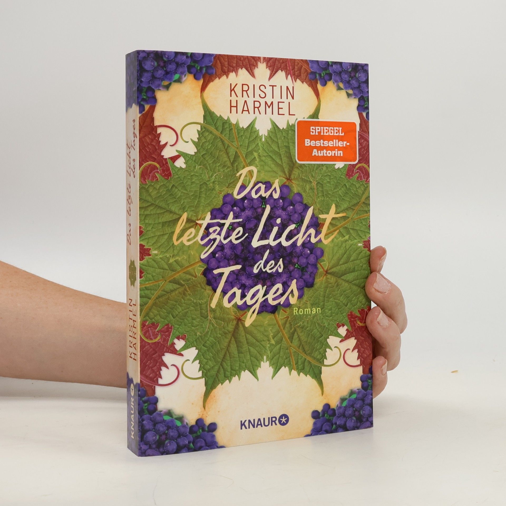 Kristin Harmel Das letzte Licht des Tages