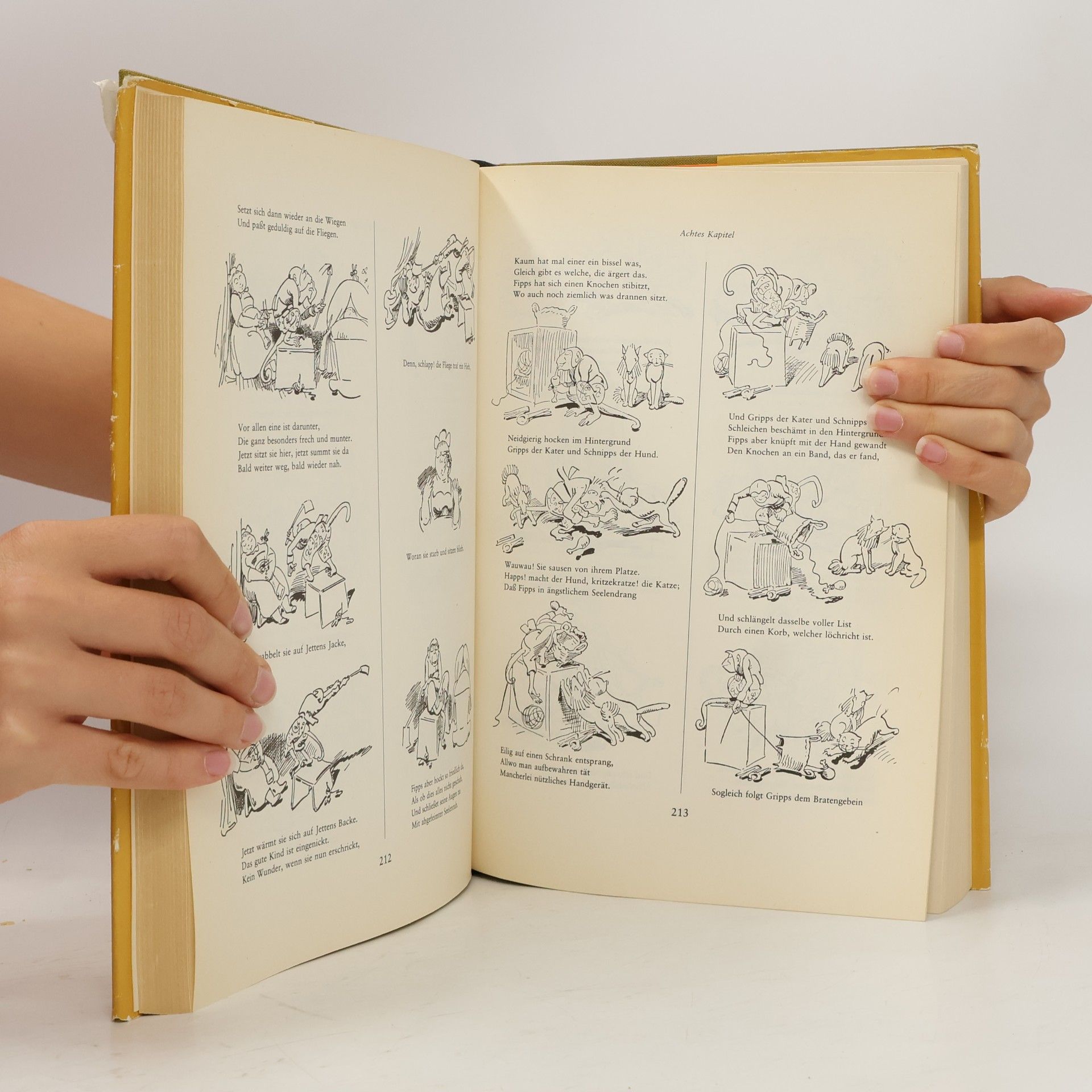 Wilhelm Busch Das dicke Busch-Buch