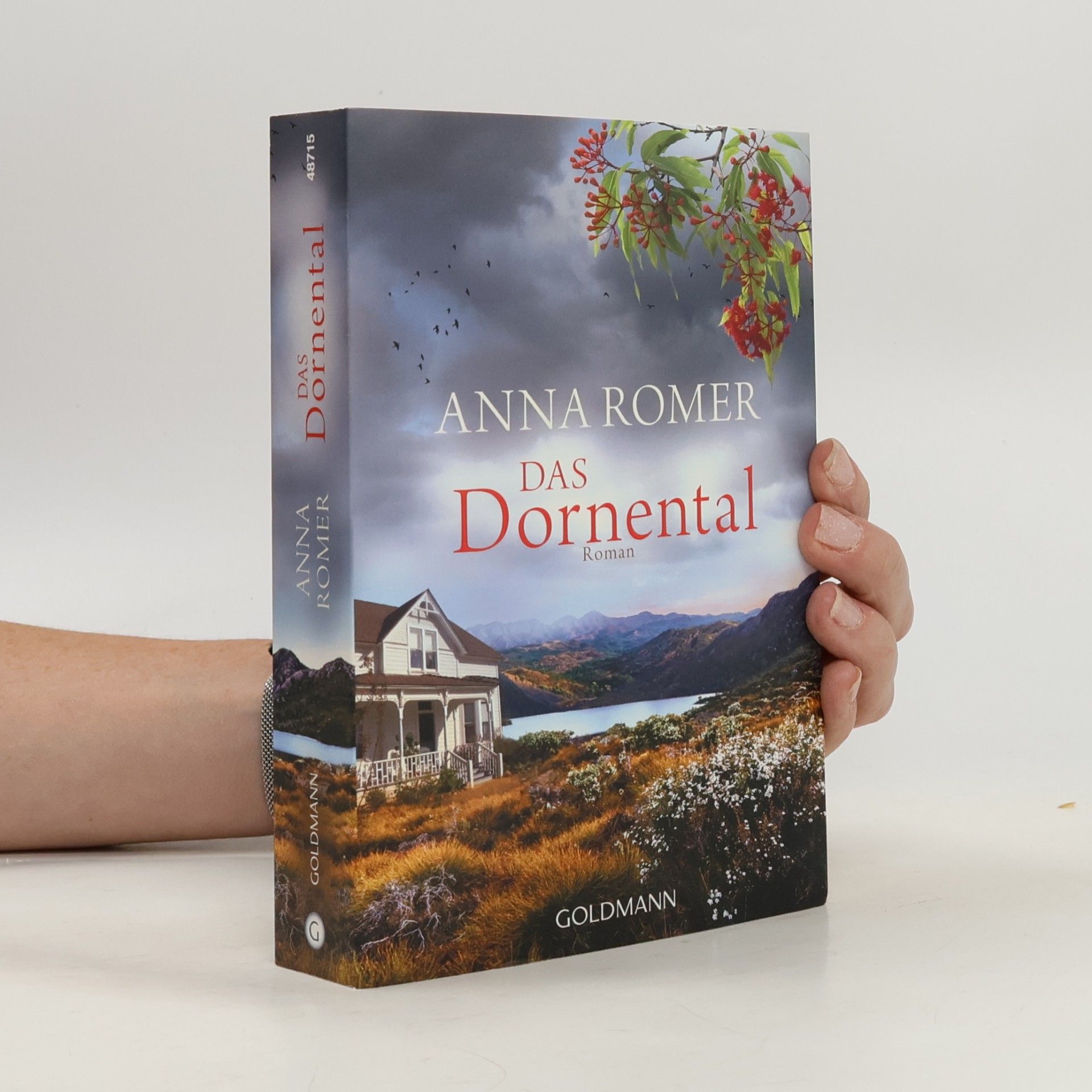 Roberto de Hollanda Das Dornental : roman