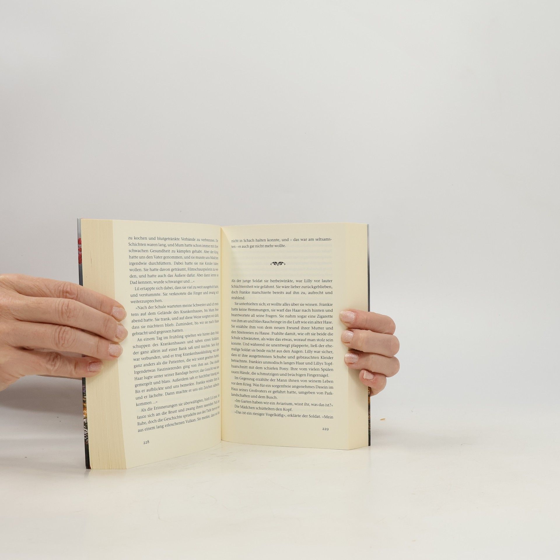 Roberto de Hollanda Das Dornental : roman