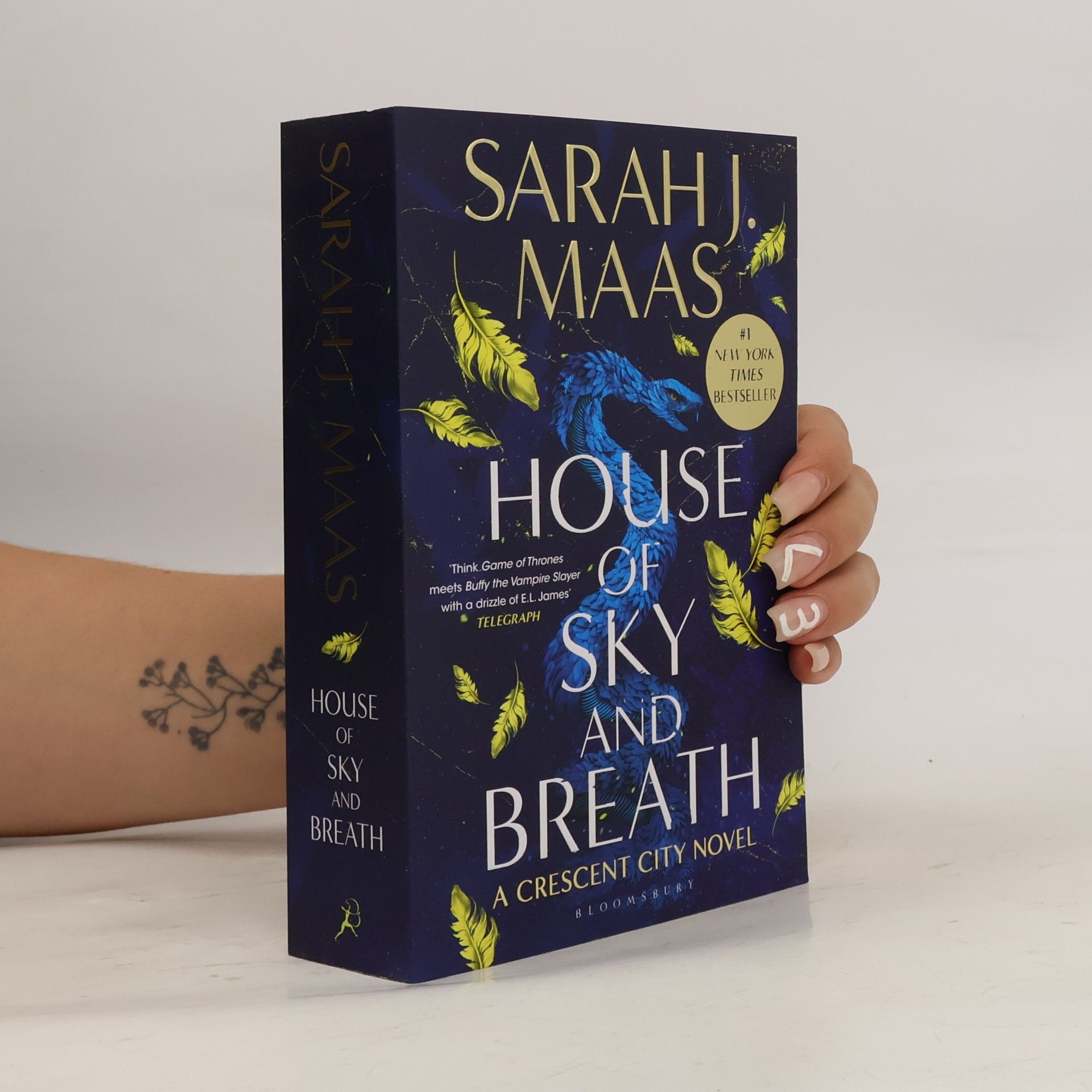 Sarah J. Maas House of Sky and Breath
