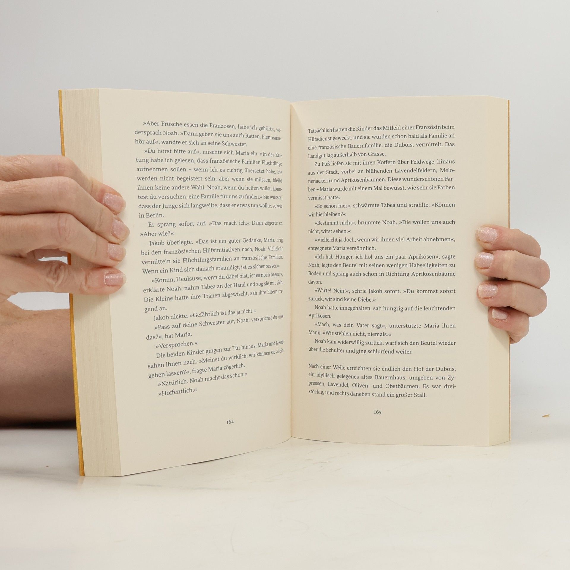 Anna Claire Die Glücksfrauen - Die Kraft der Bücher