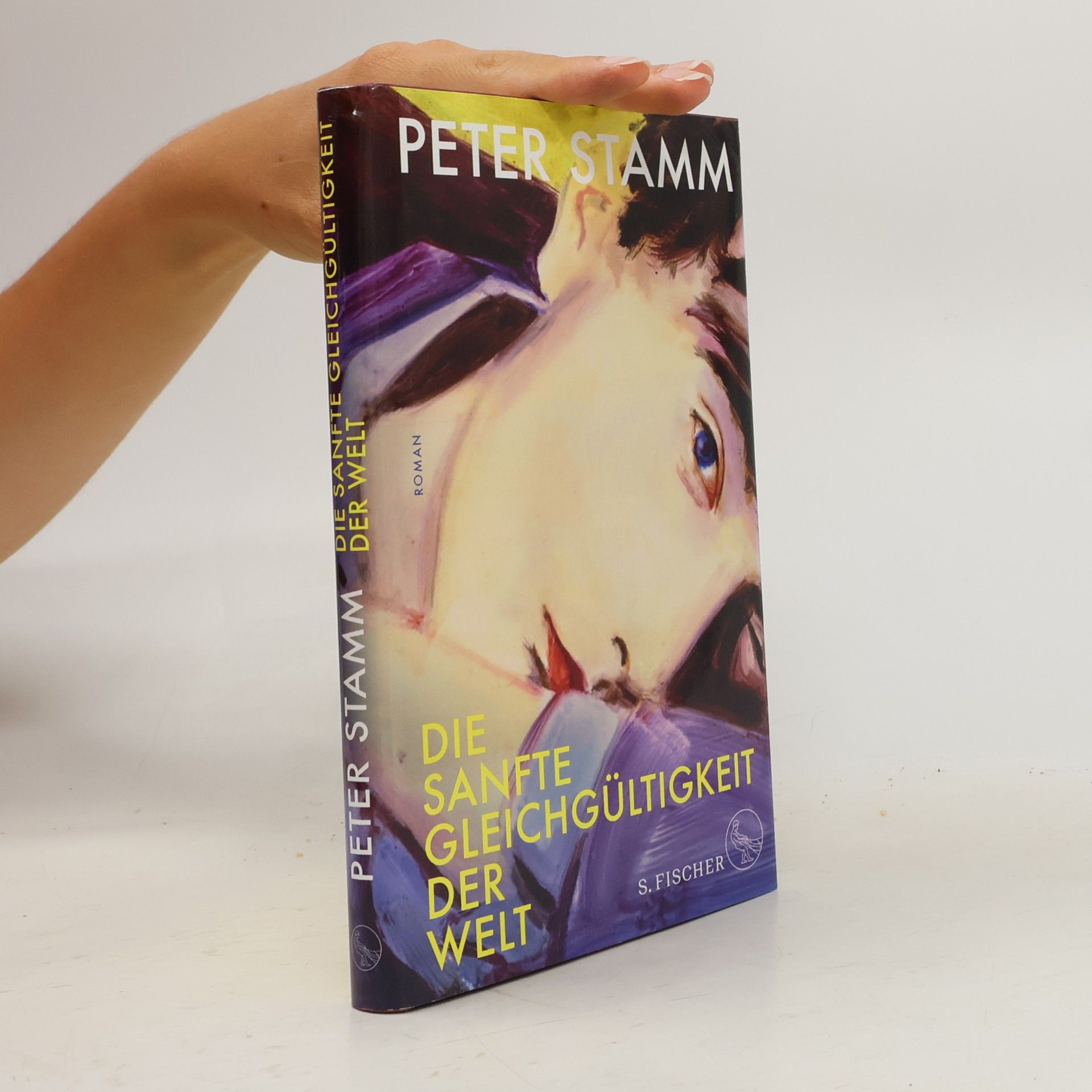 Peter Stamm Die sanfte Gleichgültigkeit der Welt