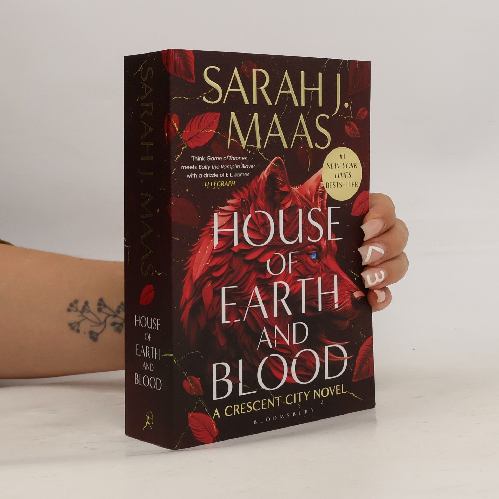 Sarah J. Maas House of Earth and Blood