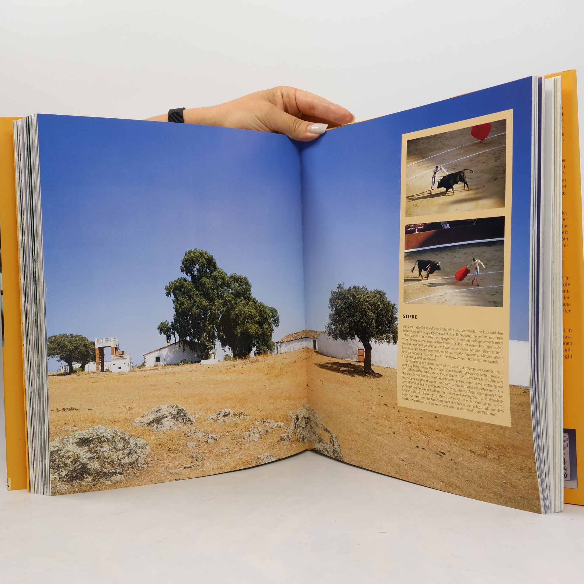 Autores varios Wohnarchitektur und Interieurs Spanien