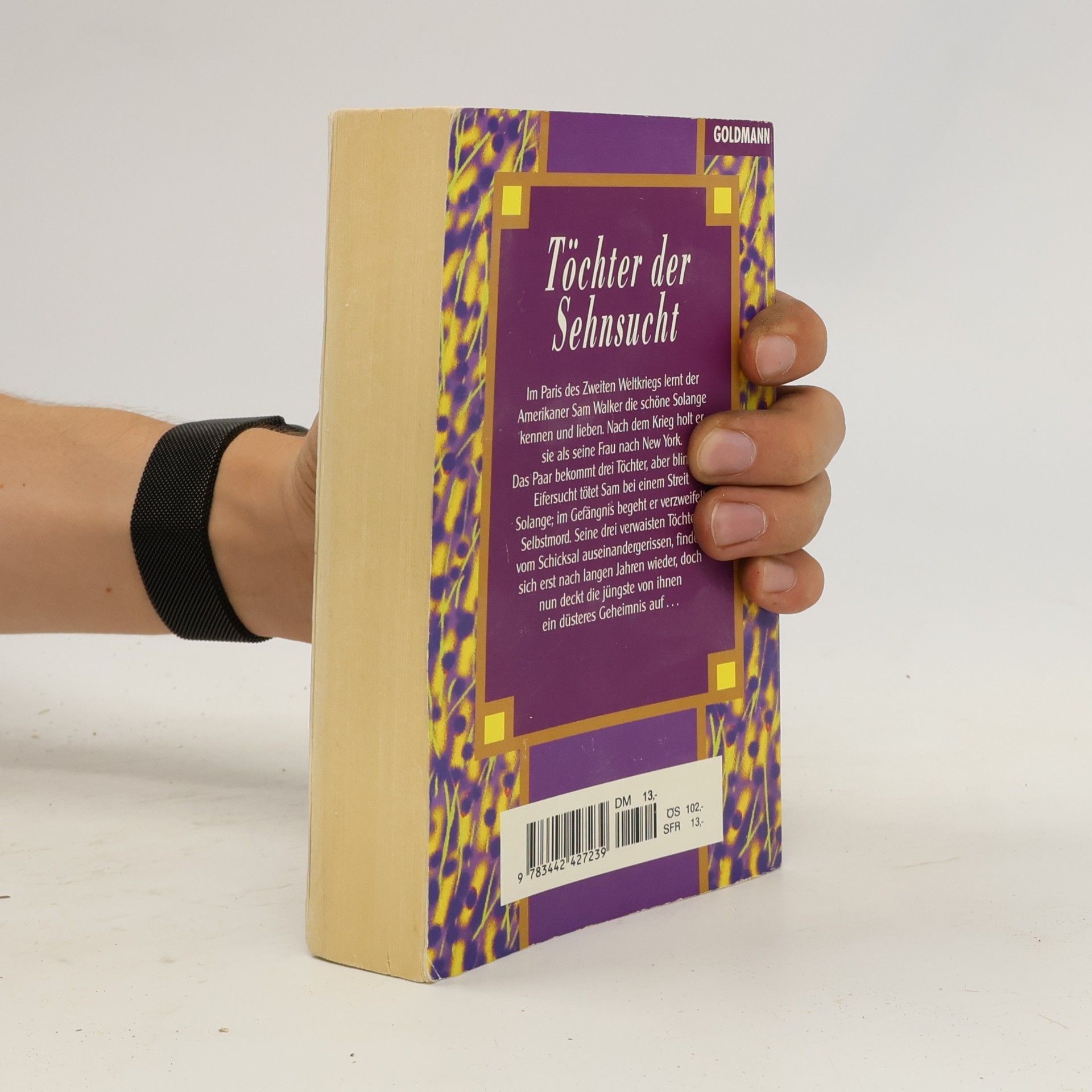 Danielle Steel Töchter der Sehnsucht