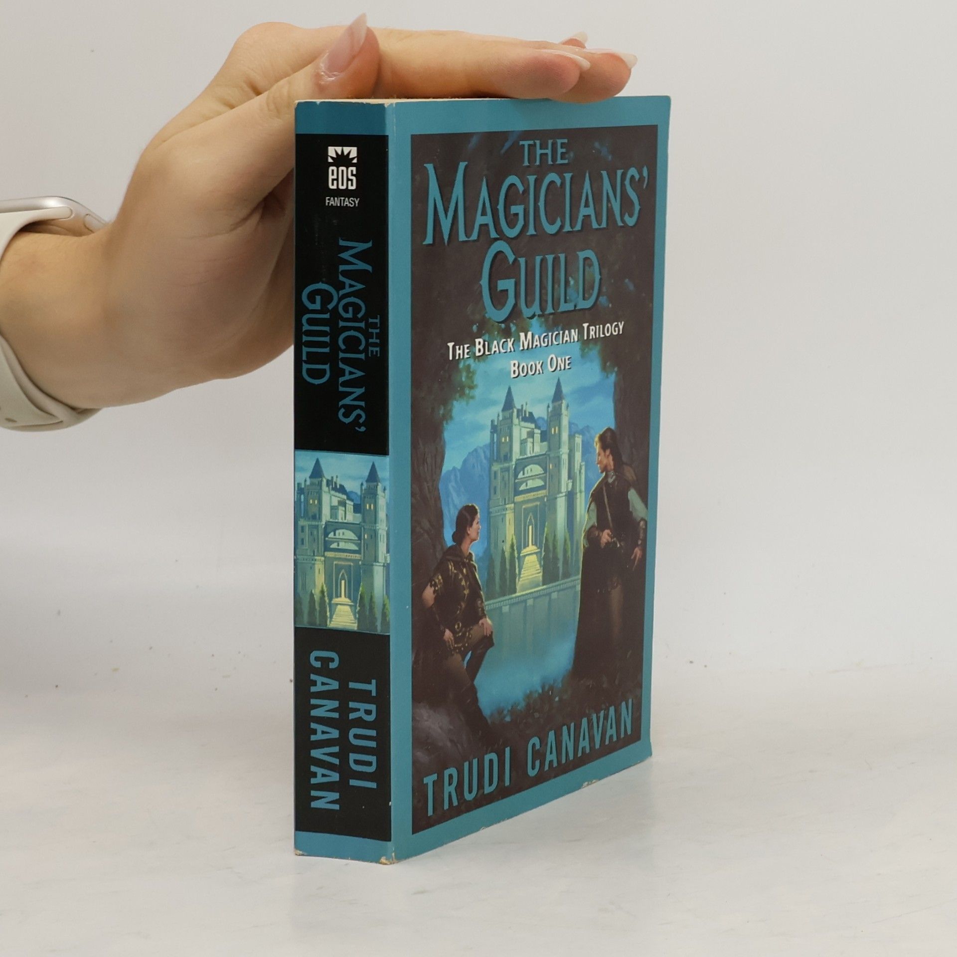 The Magicians' Guild