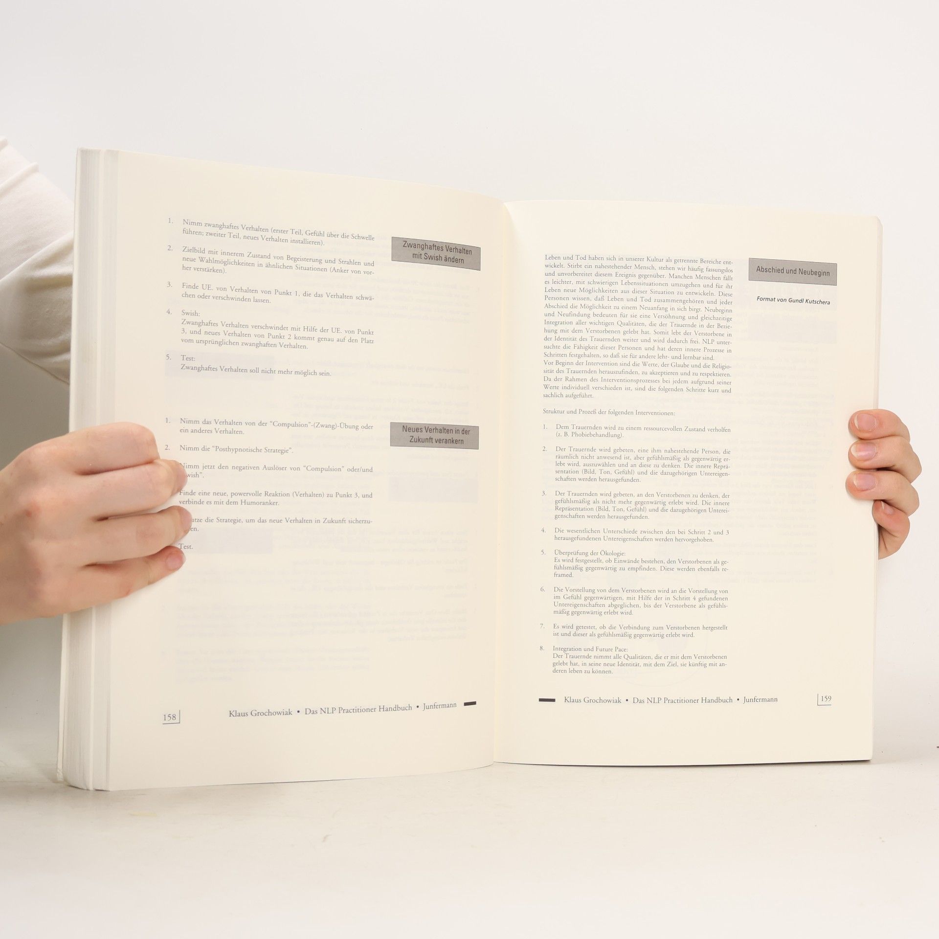 Klaus Grochowiak Das NLP-Practitioner-Handbuch