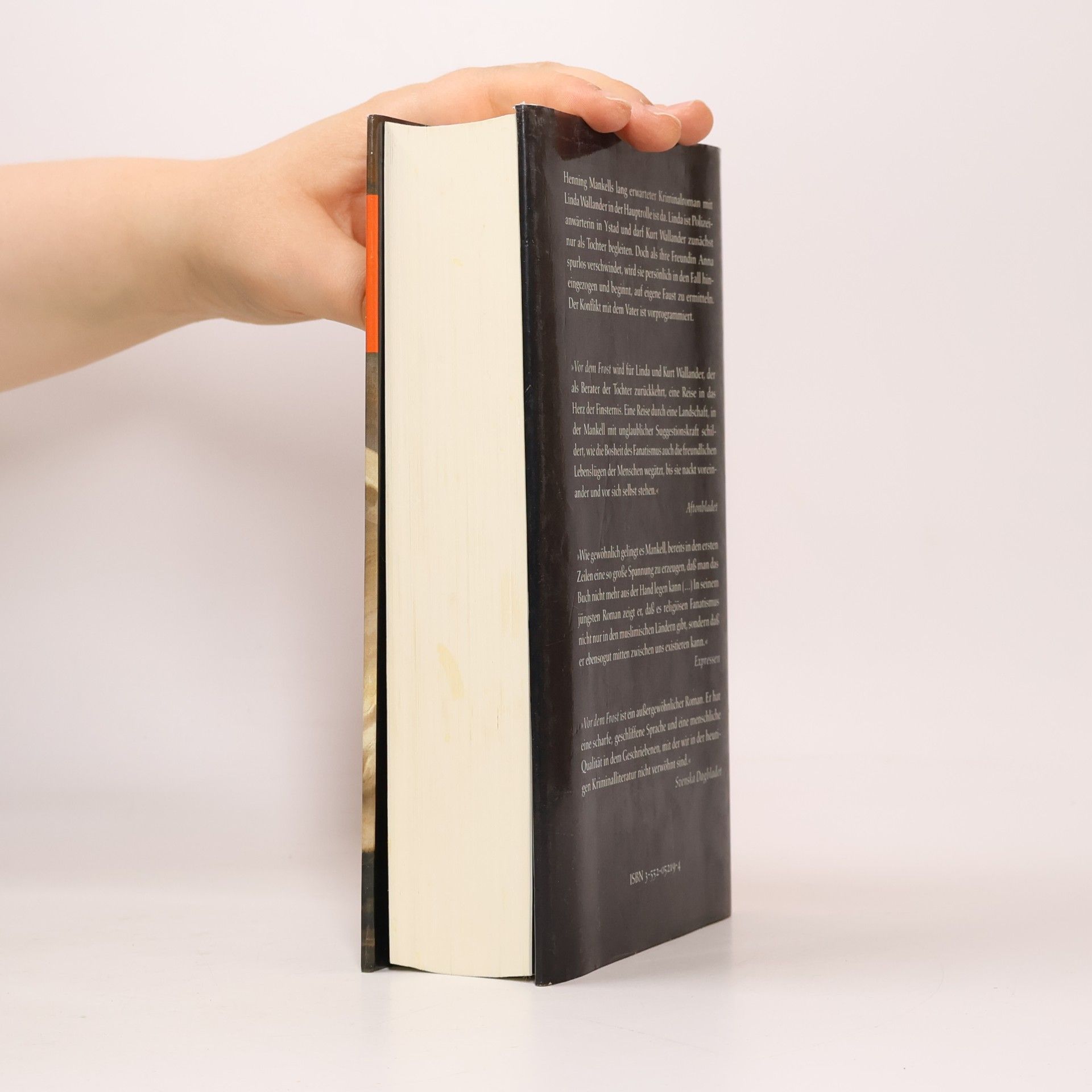 Henning Mankell Vor dem Frost