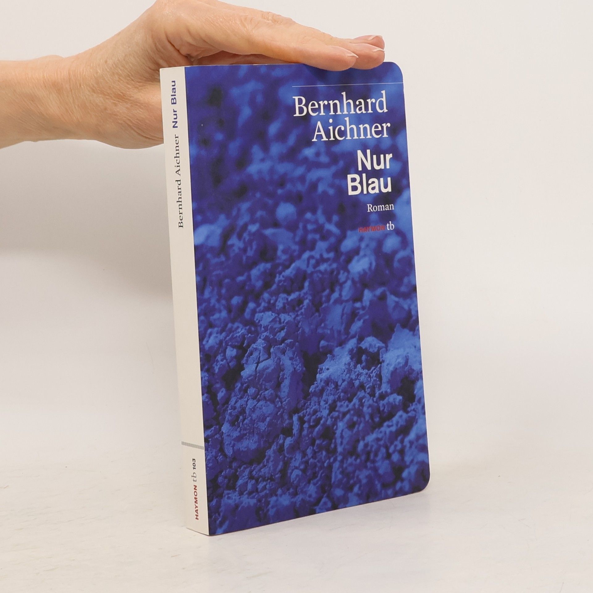 Bernhard Aichner Nur Blau