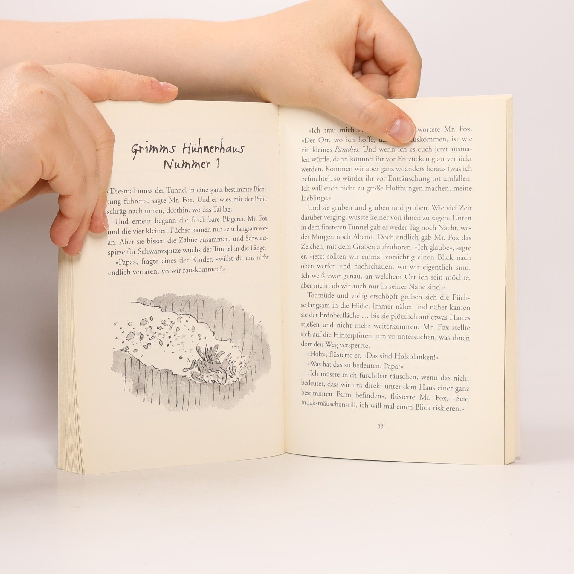 Roald Dahl Der fantastische Mr. Fox