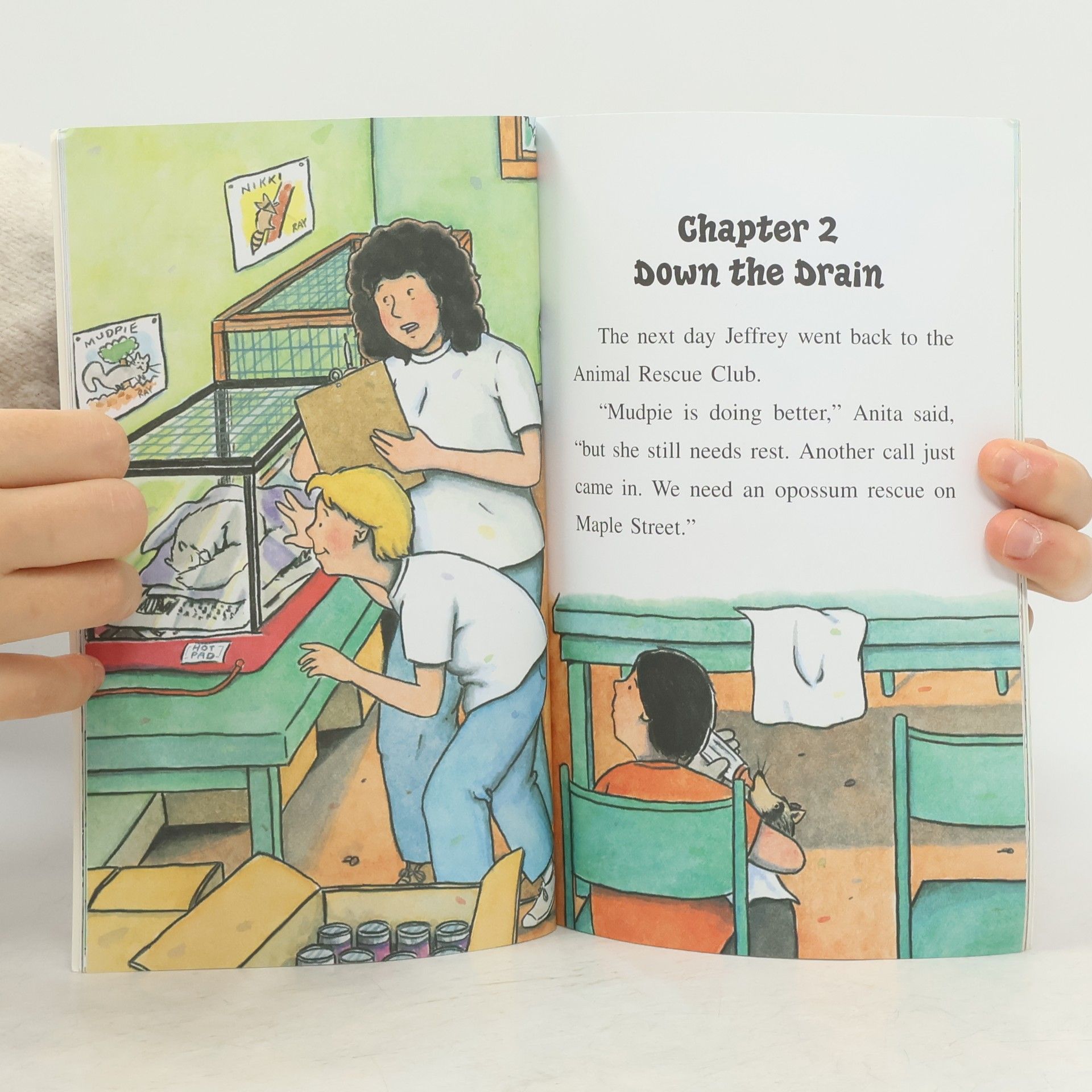 John Himmelman An I Can Read Chapter Book: The Animal Rescue Club